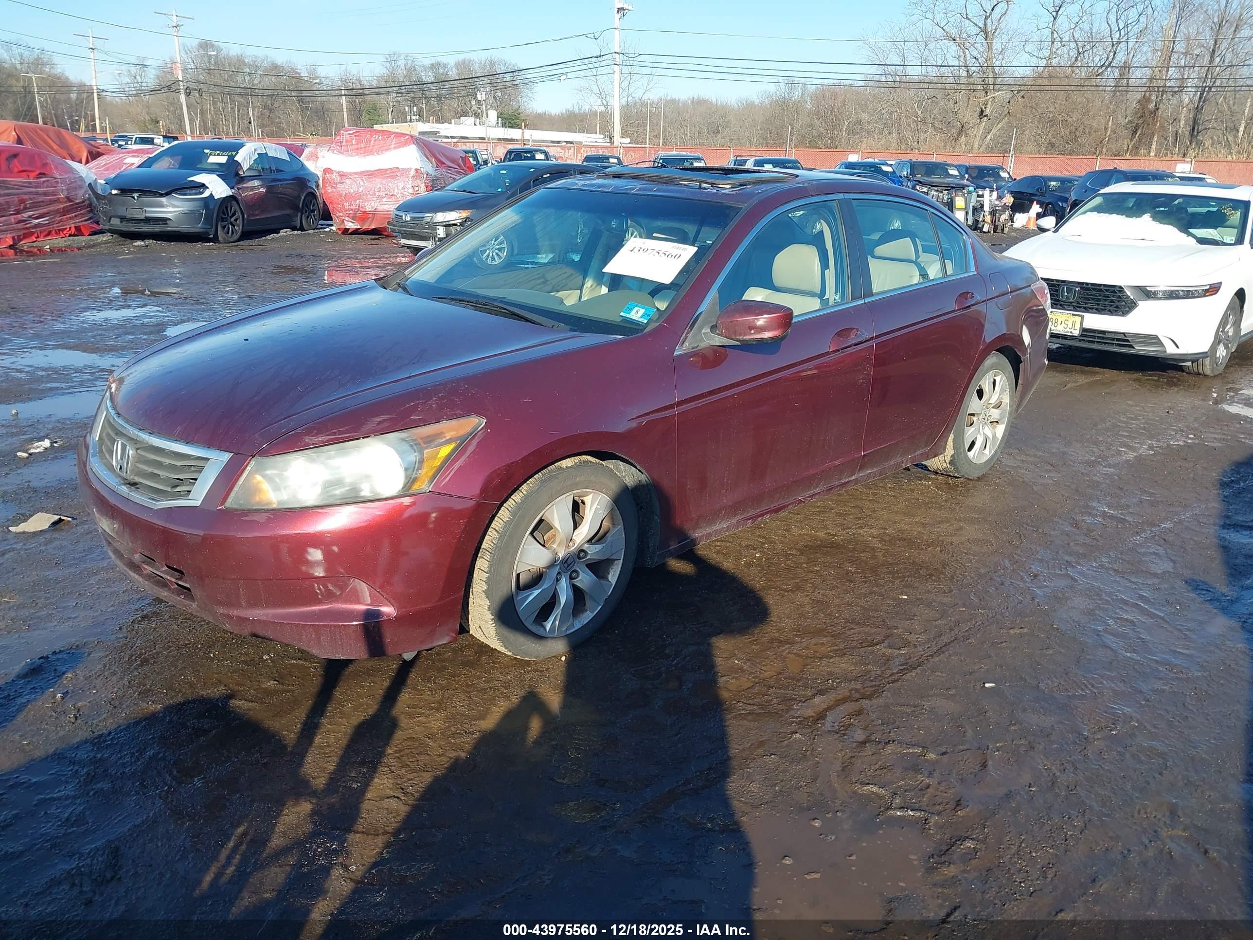 HONDA ACCORD image 2