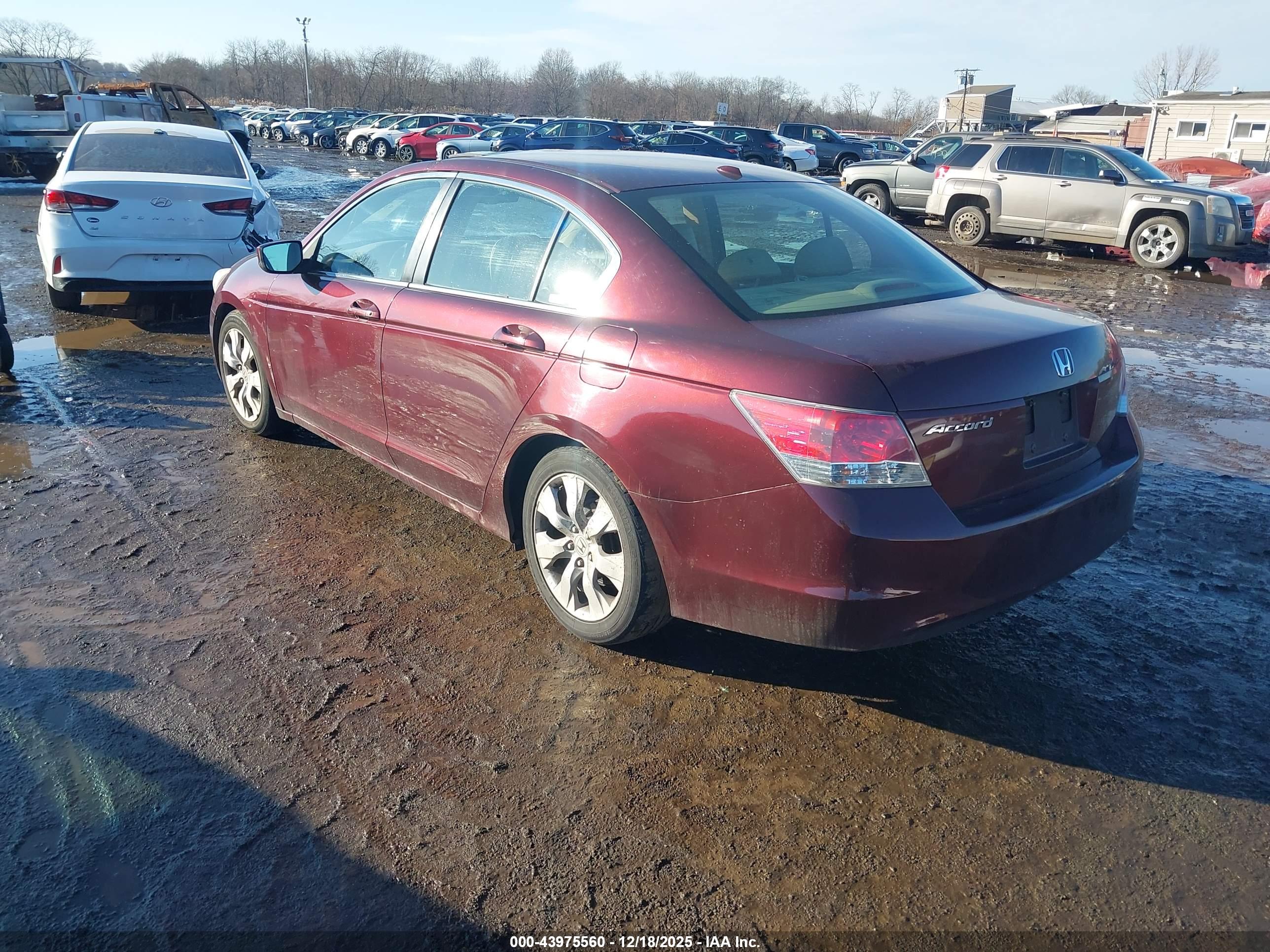 HONDA ACCORD image 3