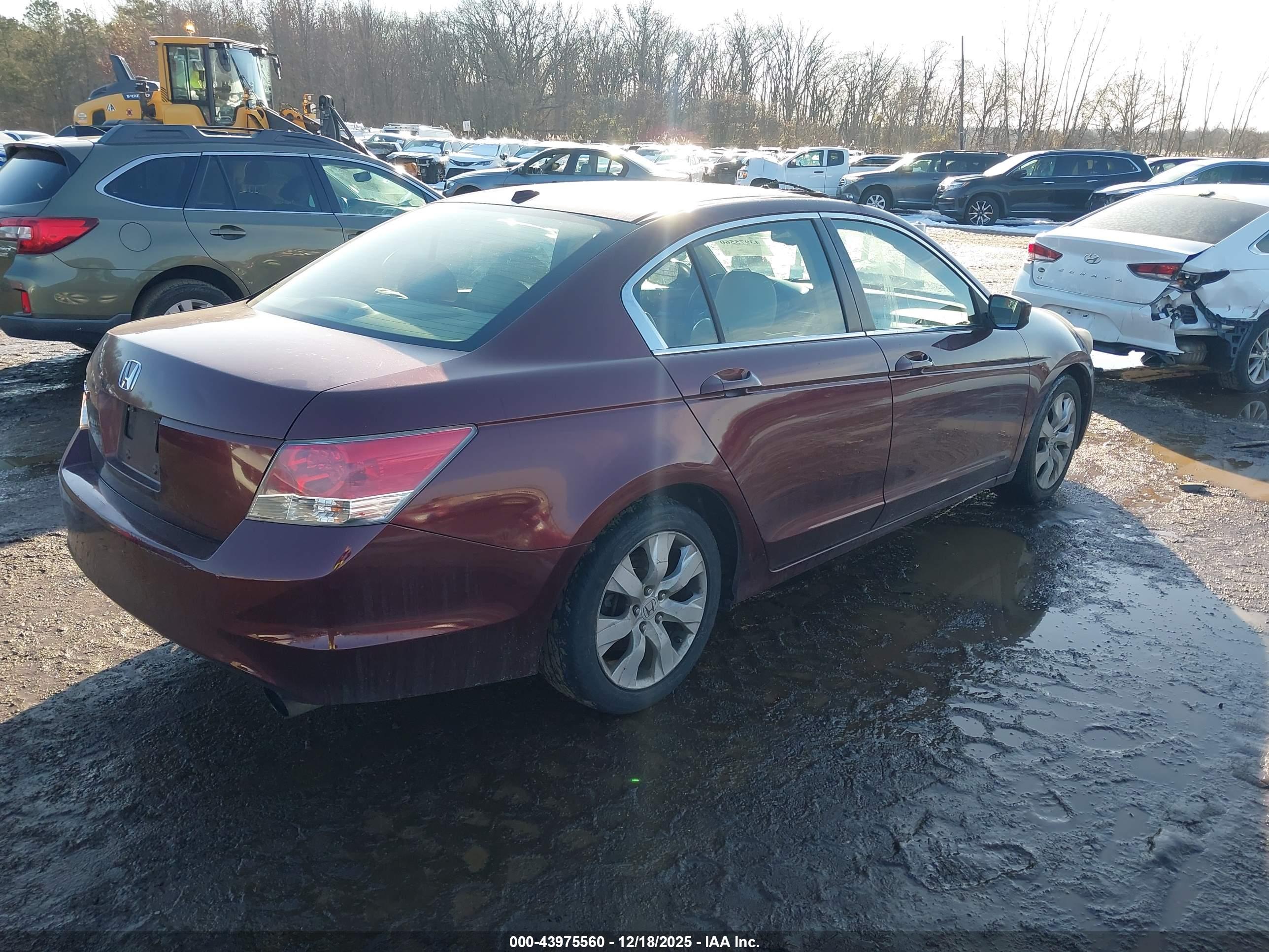 HONDA ACCORD image 4