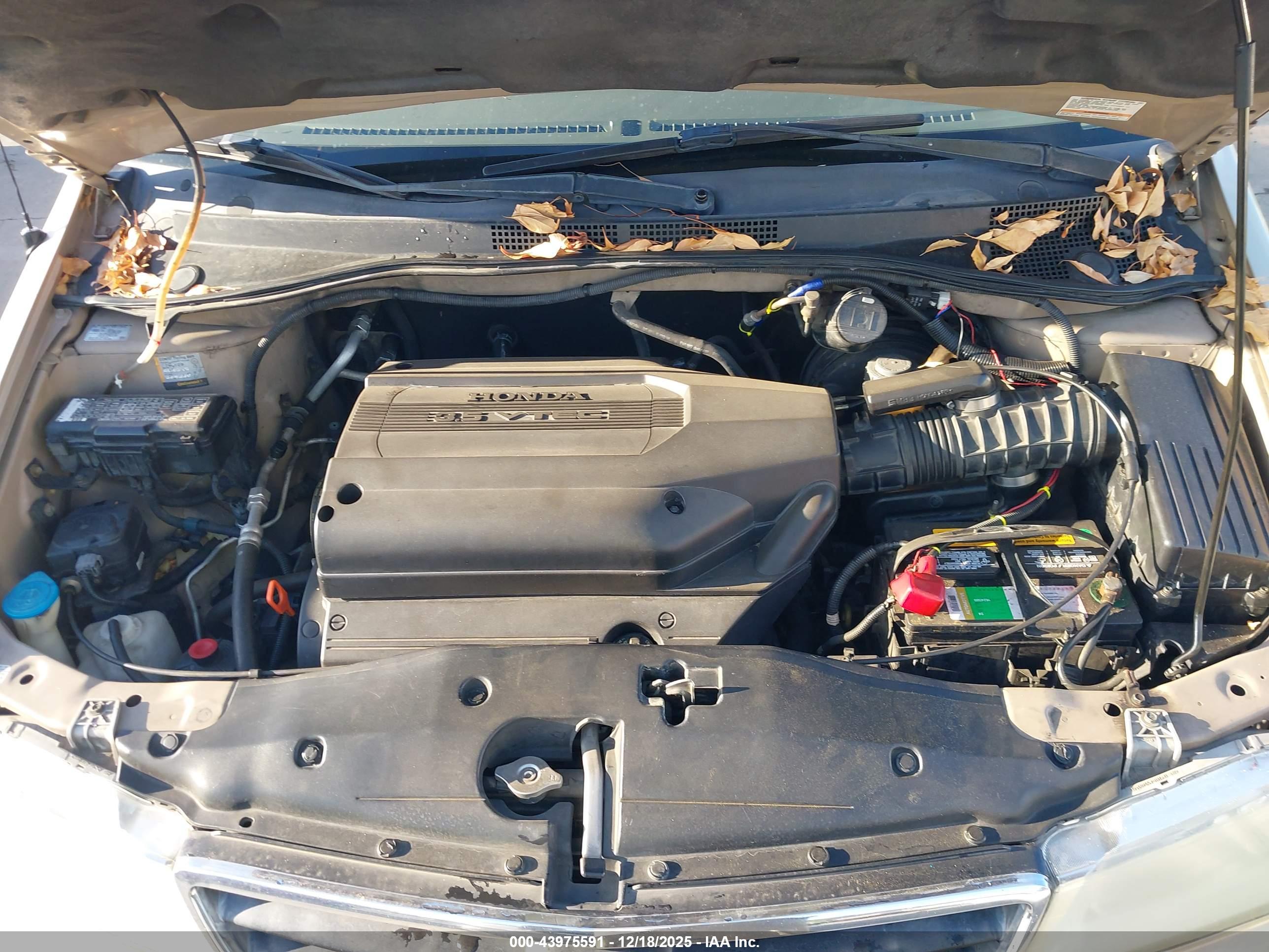 HONDA ODYSSEY image 10