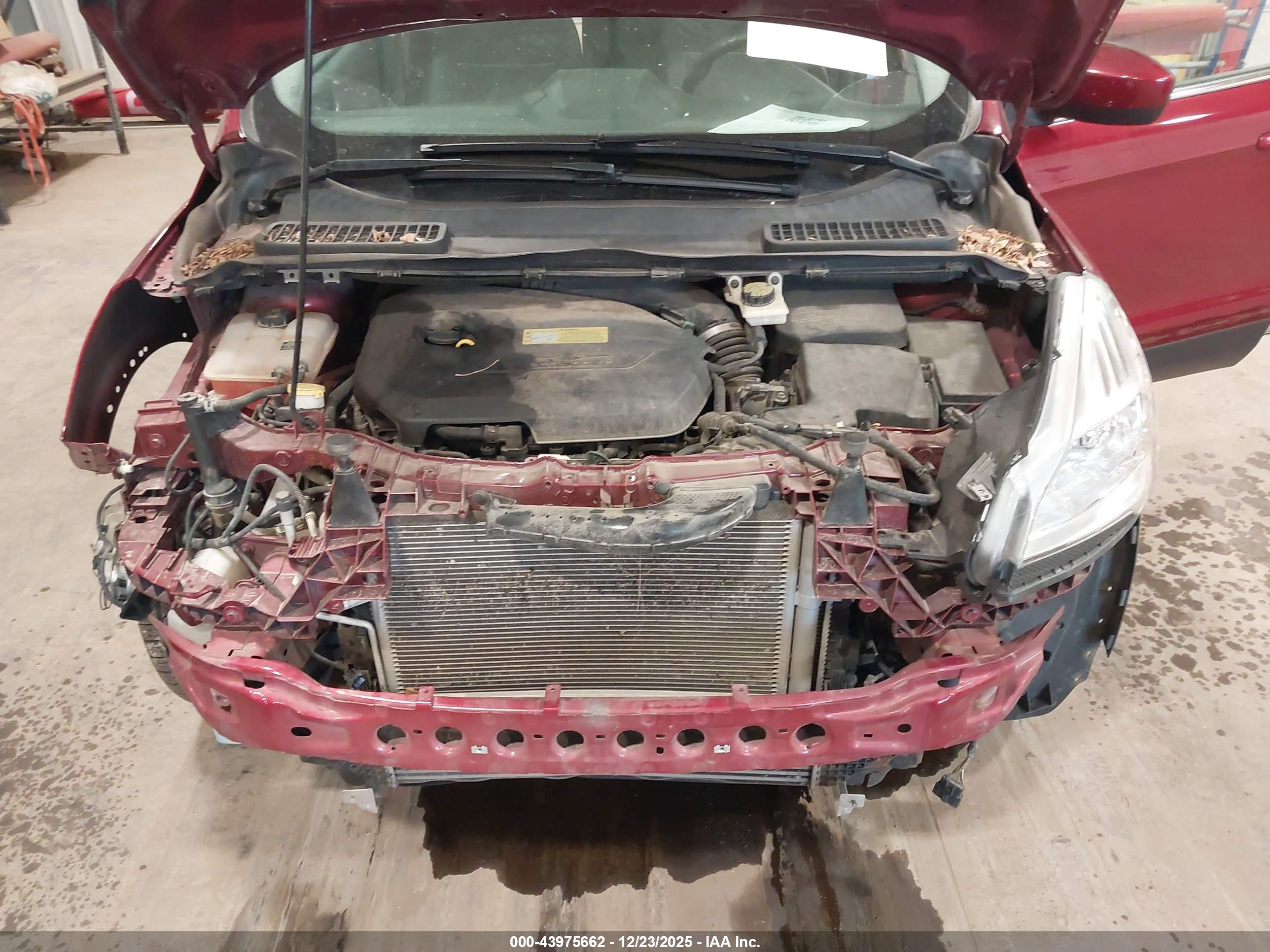 FORD ESCAPE image 10
