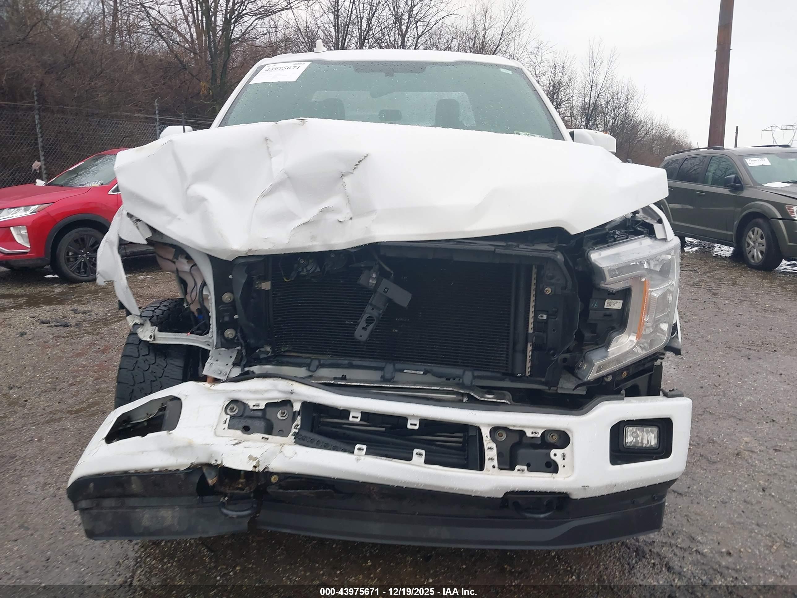 FORD F-150 image 10