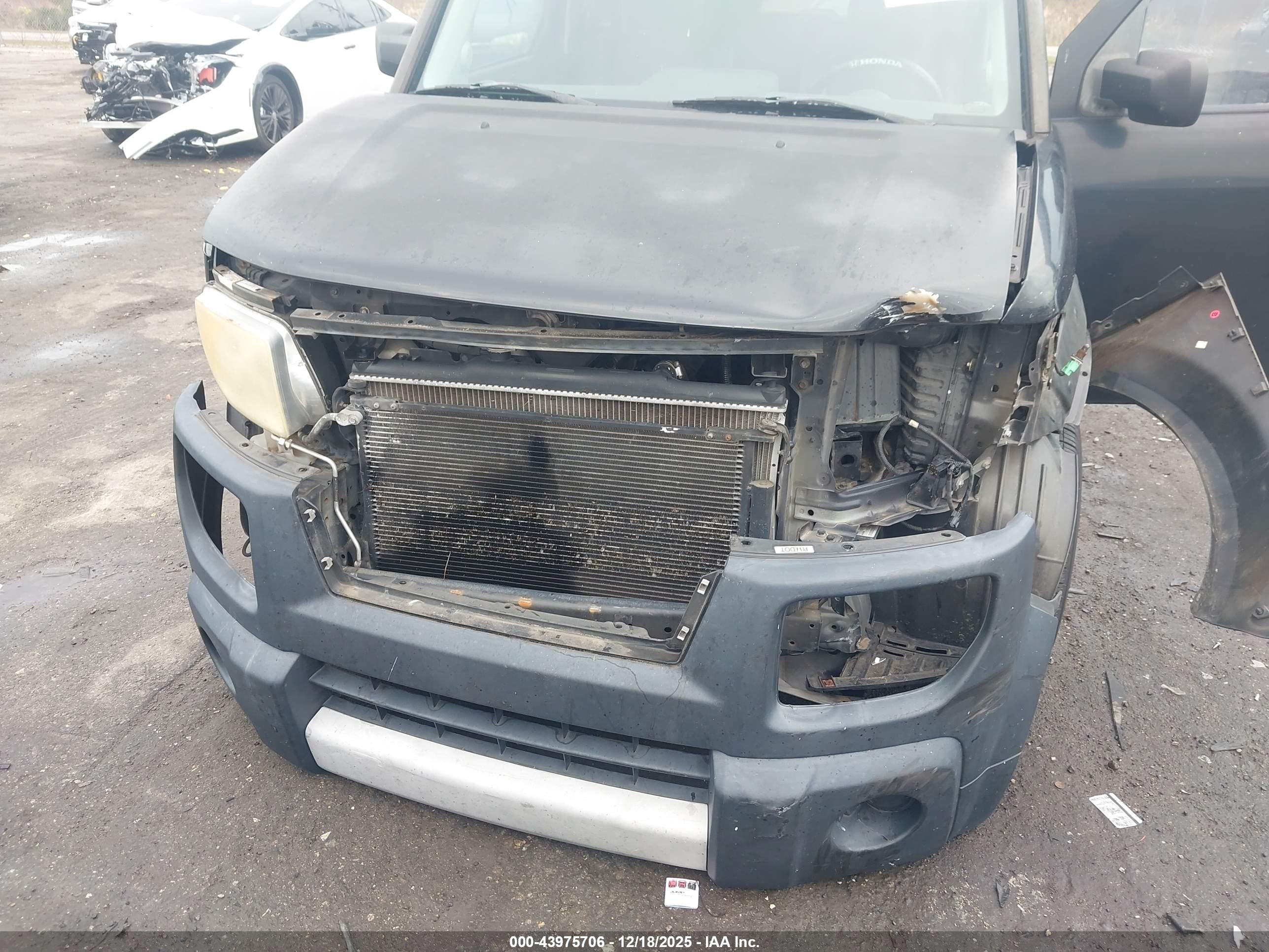 HONDA ELEMENT image 6