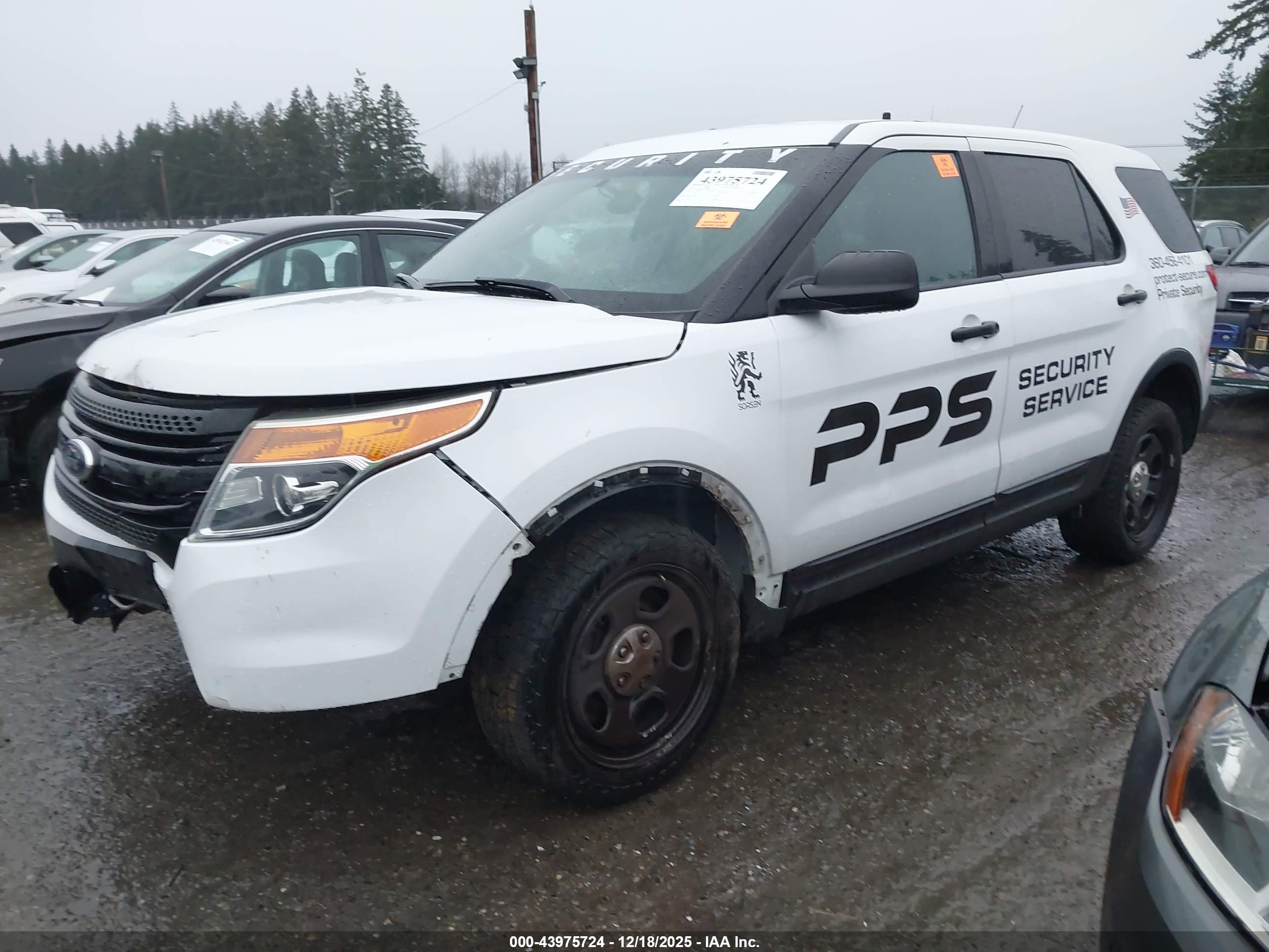 FORD UTILITY image 2