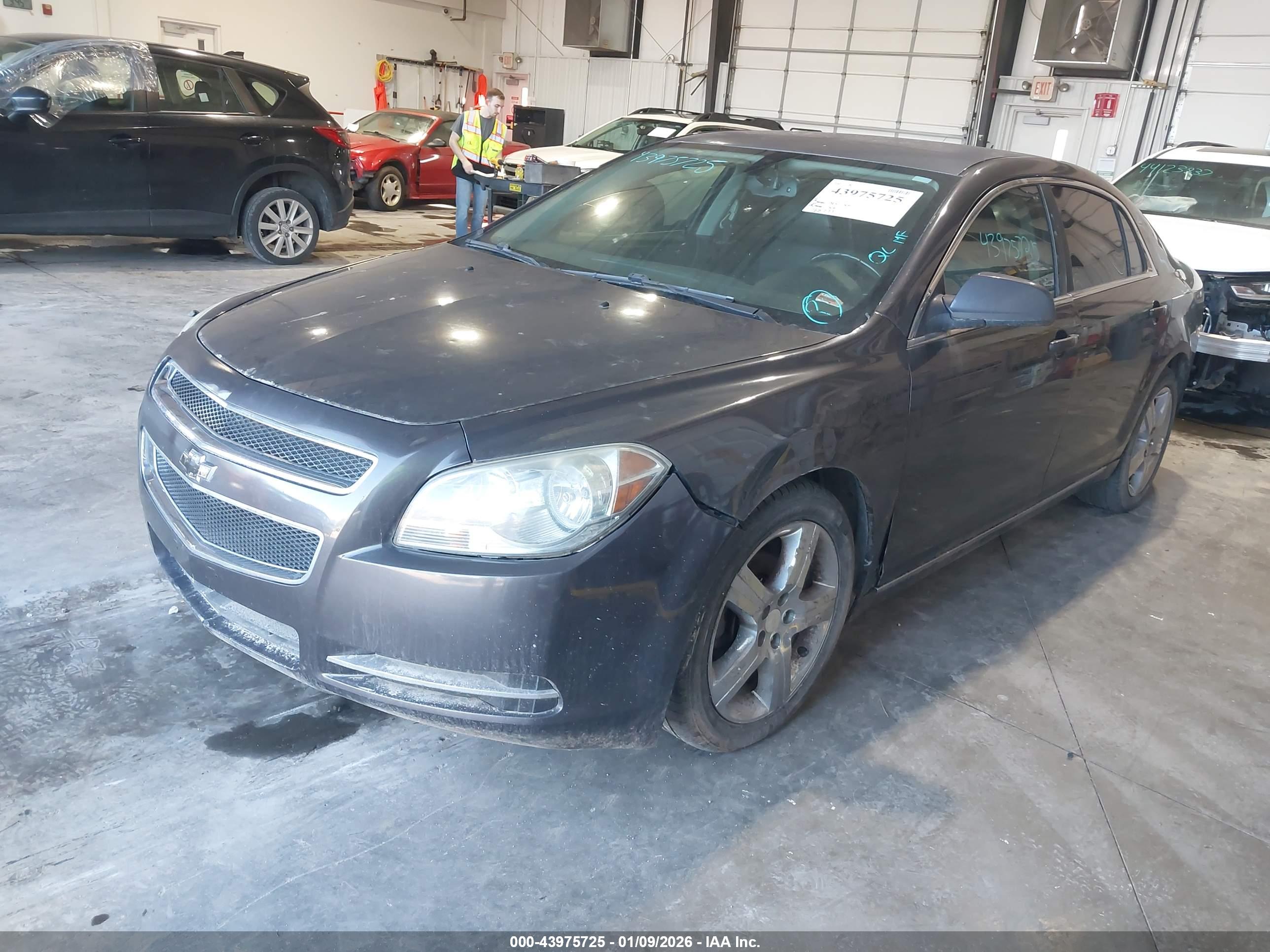 CHEVROLET MALIBU image 2