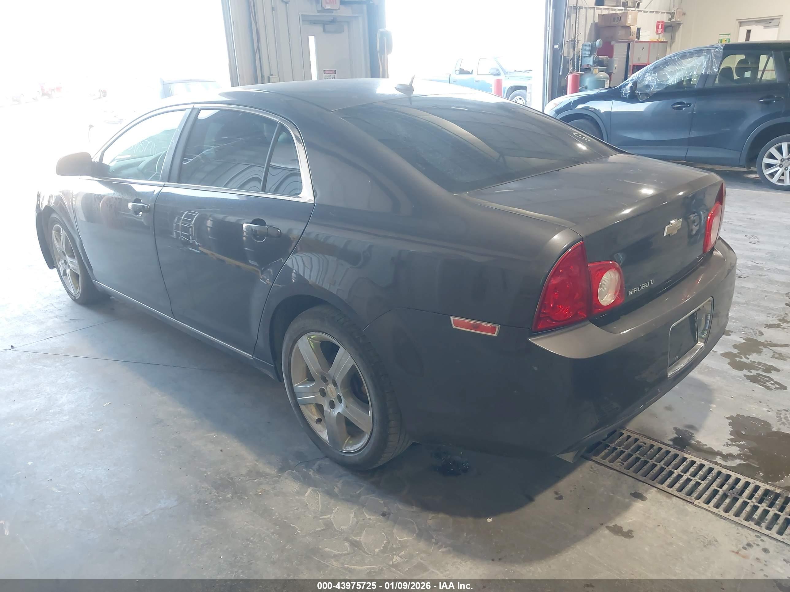 CHEVROLET MALIBU image 3