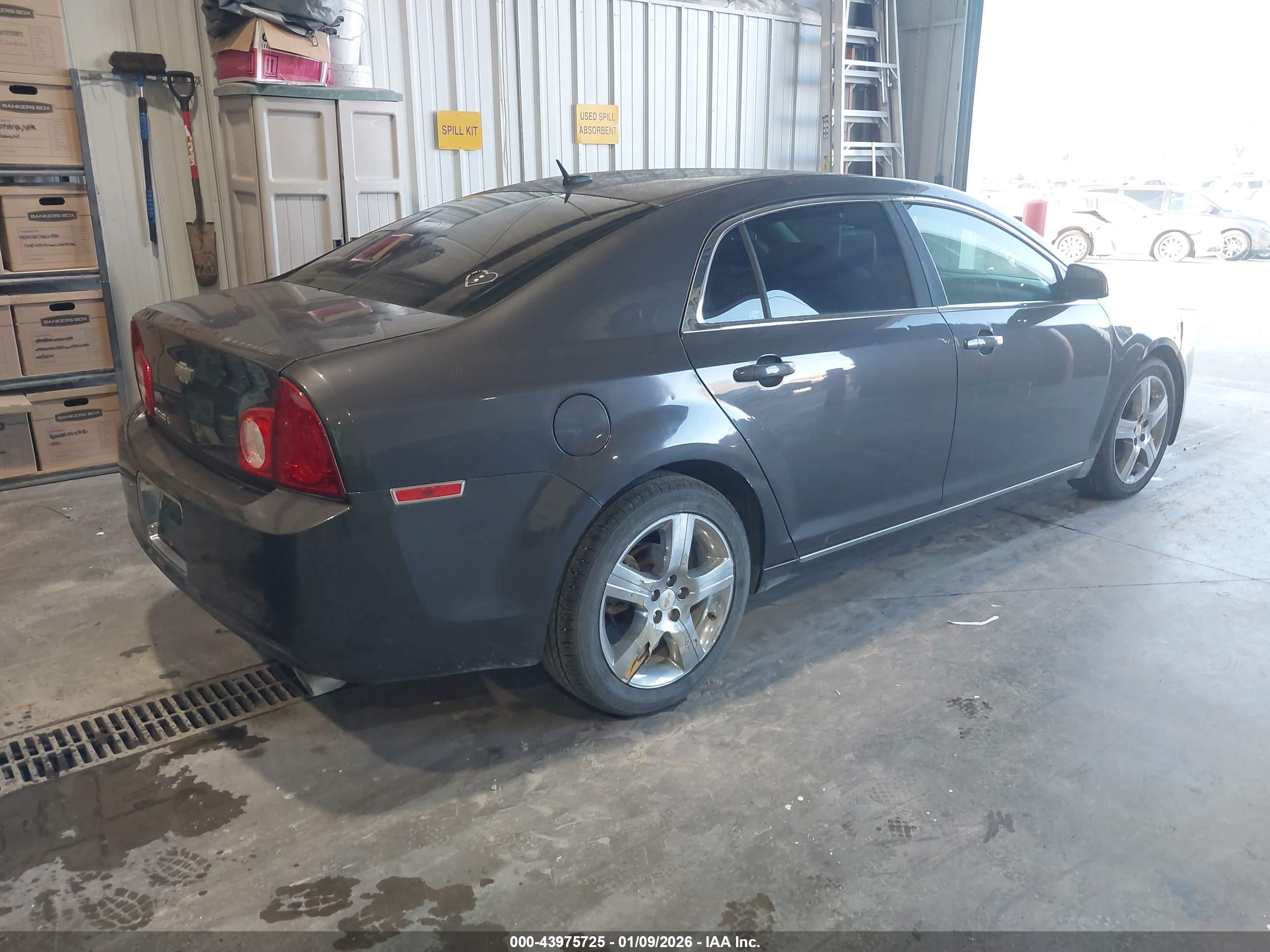 CHEVROLET MALIBU image 4