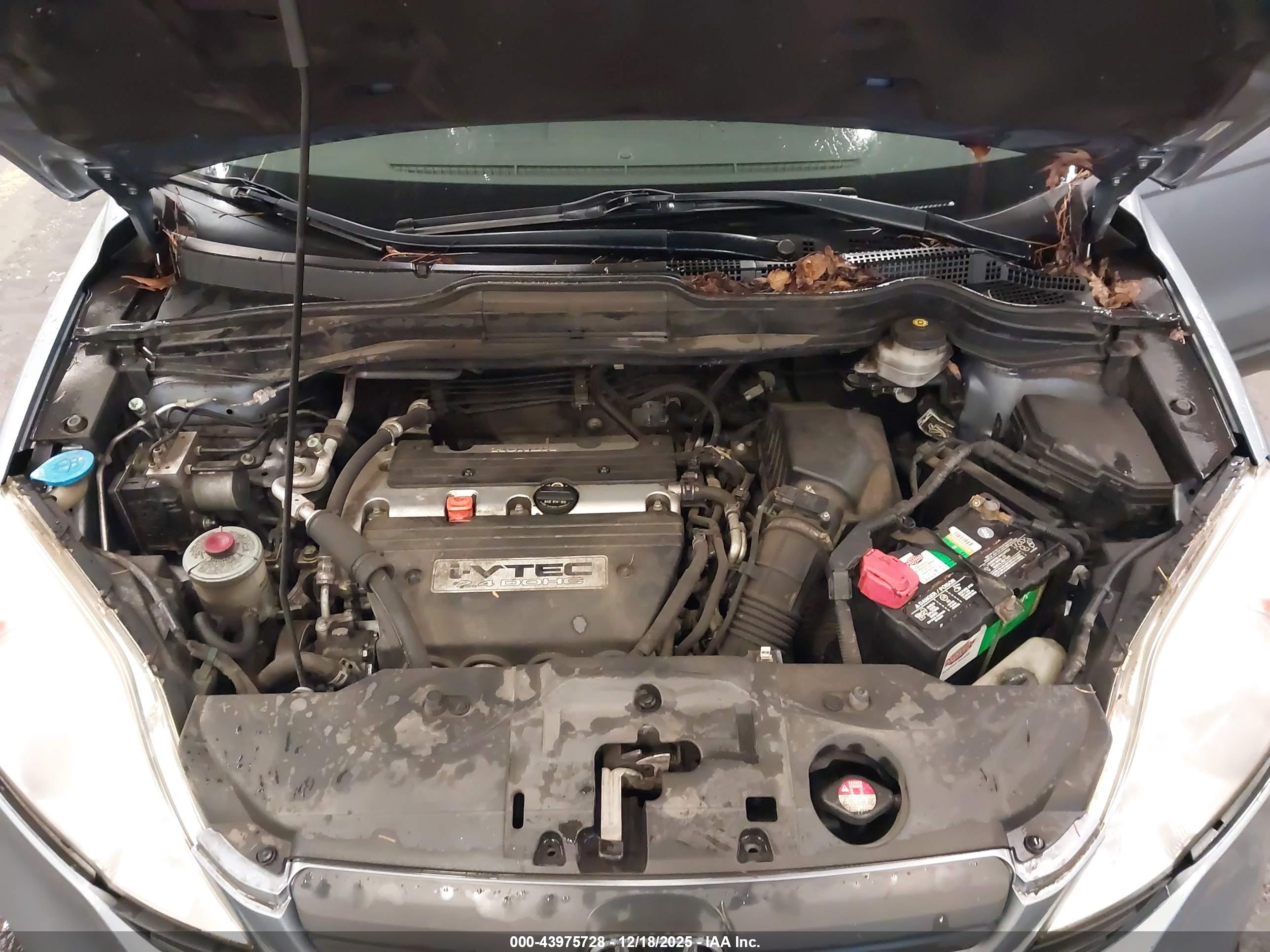HONDA CR-V image 10