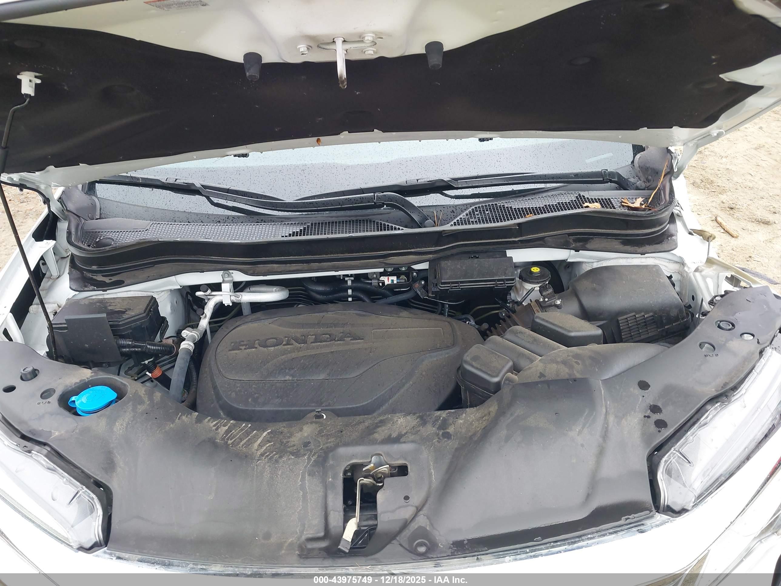 HONDA PILOT image 10