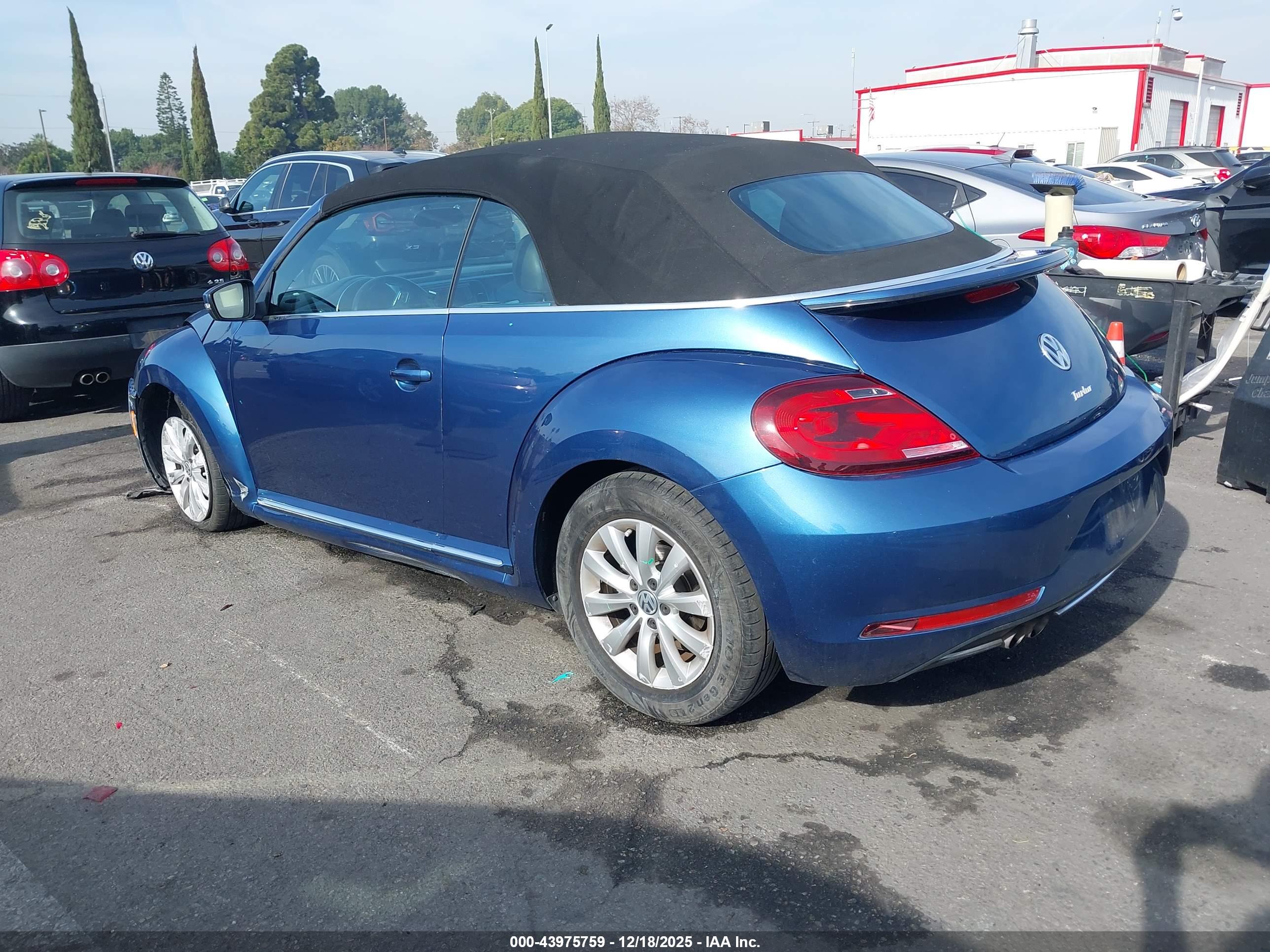 VOLKSWAGEN BEETLE image 3