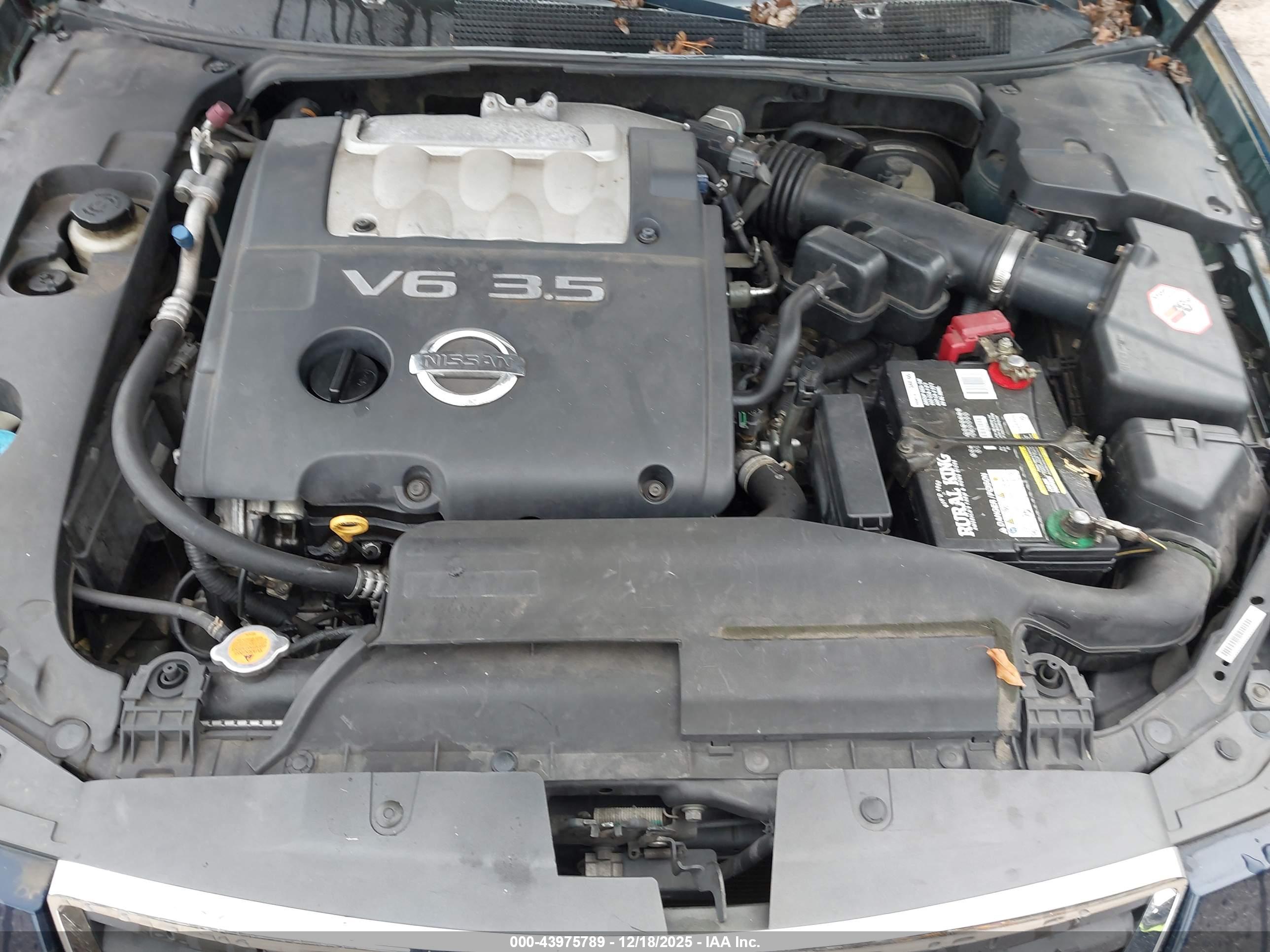 NISSAN MAXIMA image 10