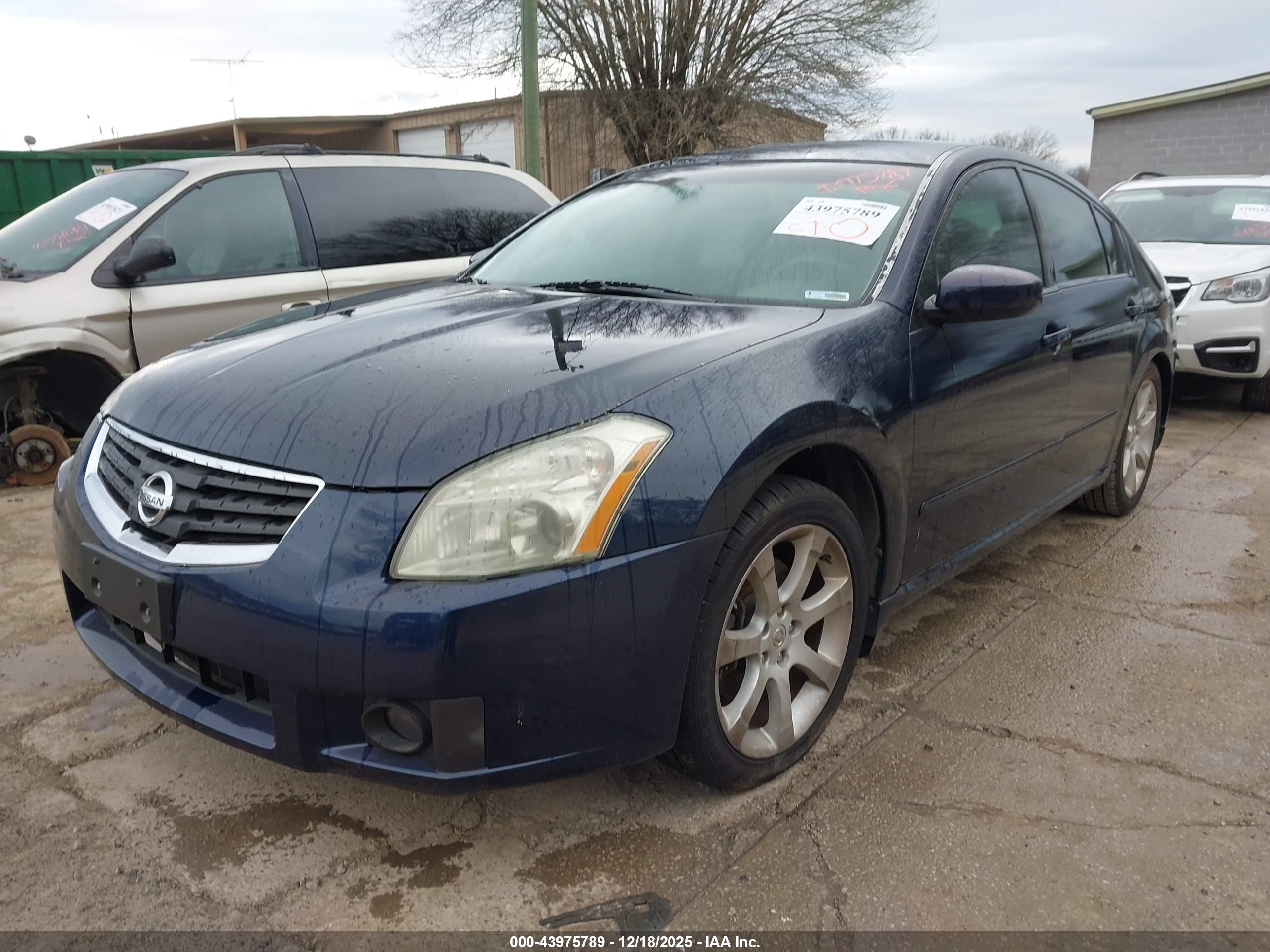 NISSAN MAXIMA image 2