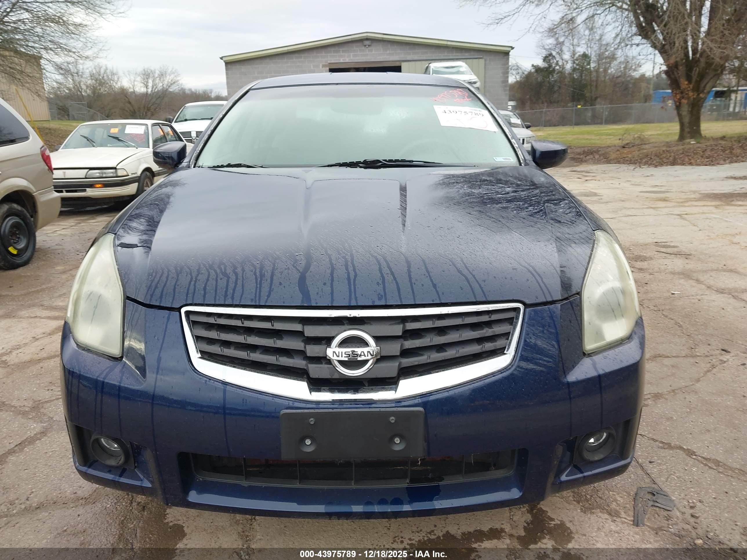 NISSAN MAXIMA image 6