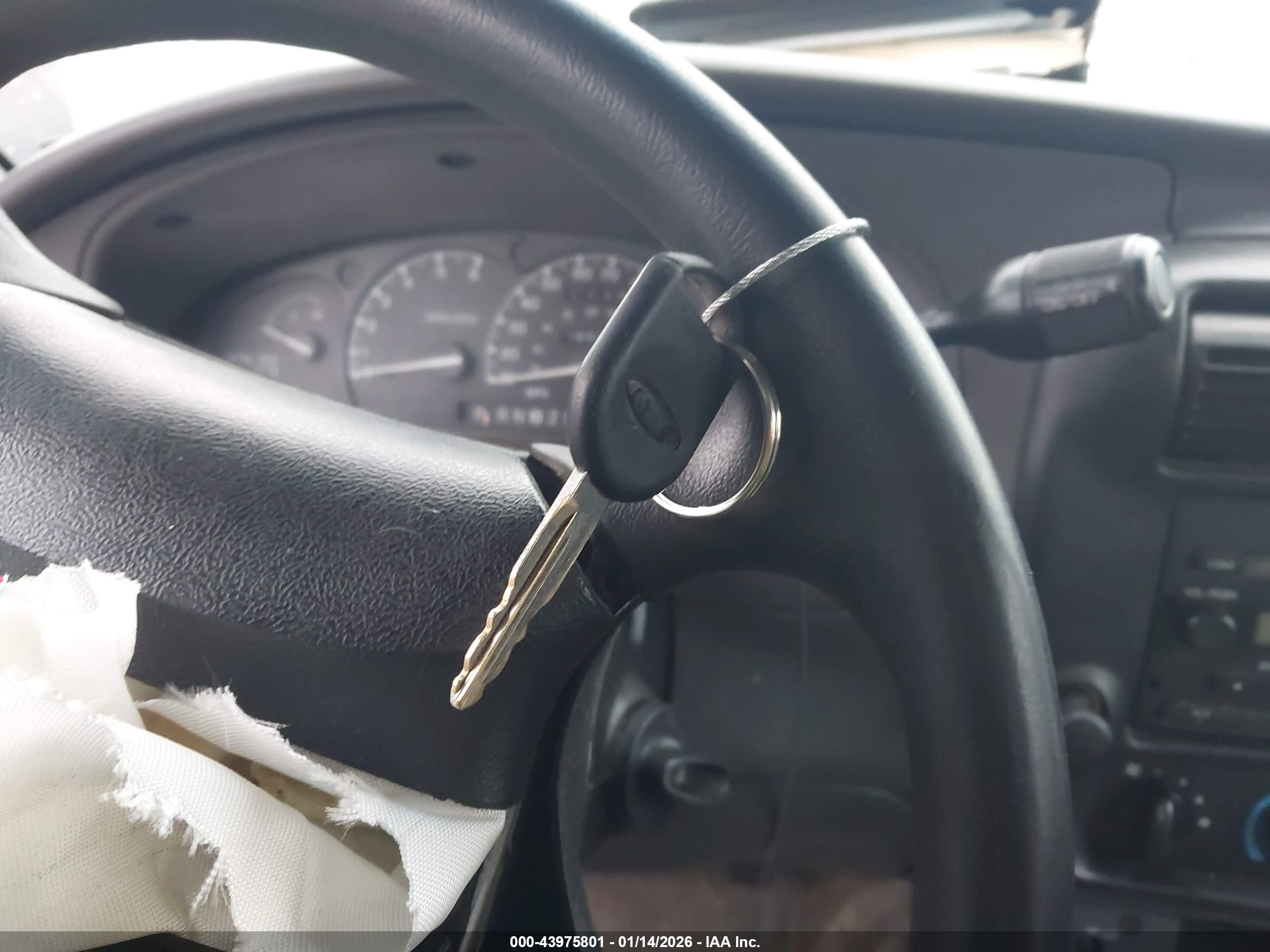 FORD RANGER image 11