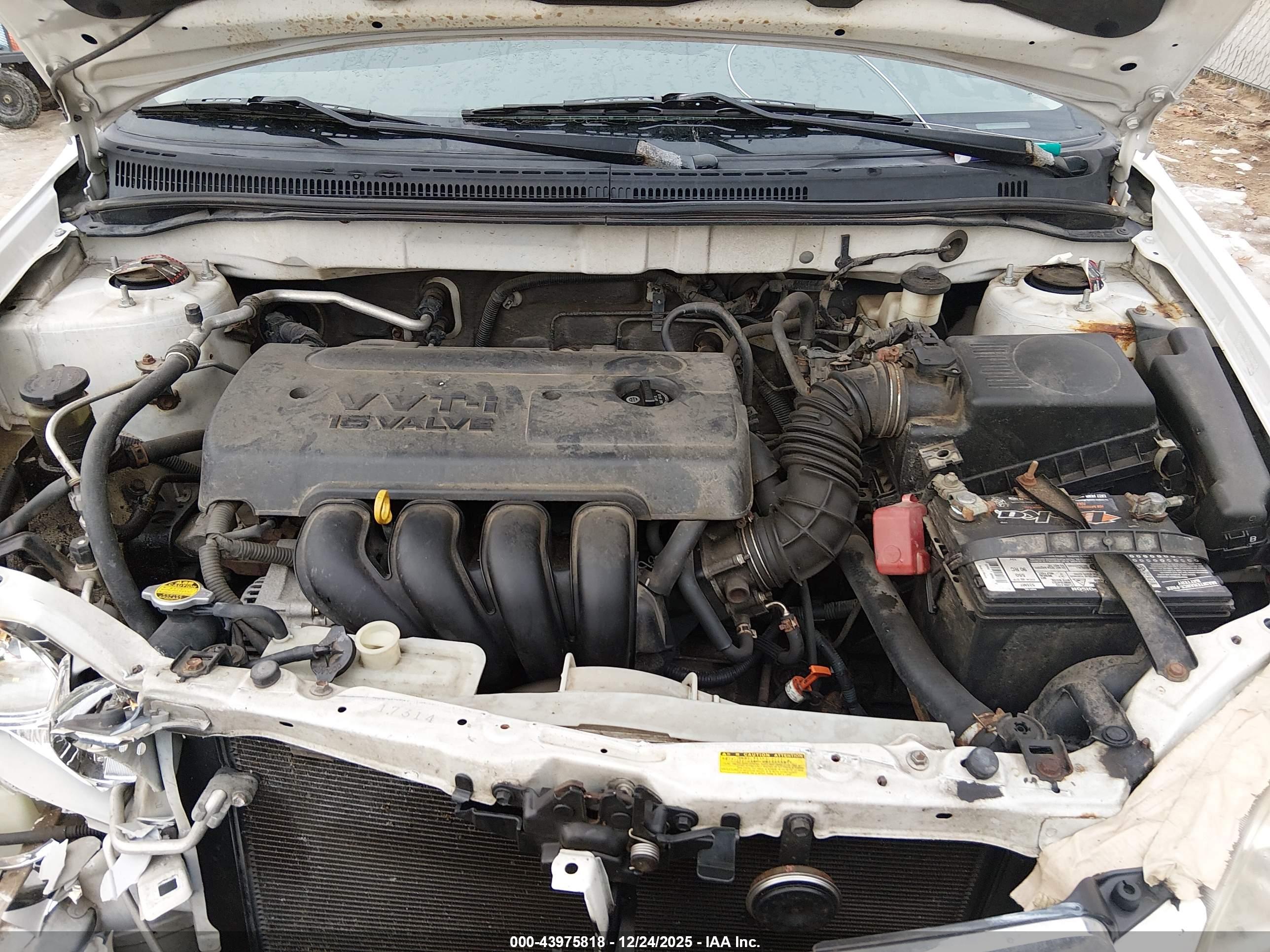 TOYOTA COROLLA image 10