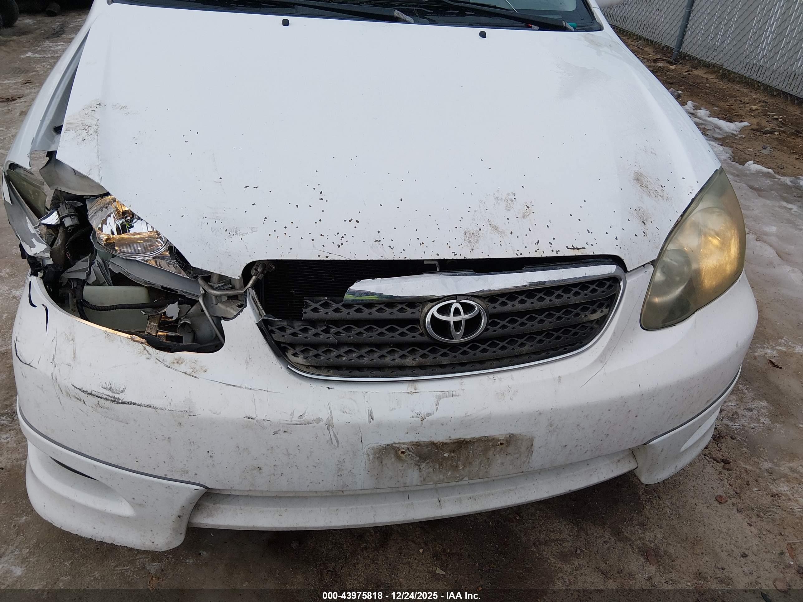 TOYOTA COROLLA image 6