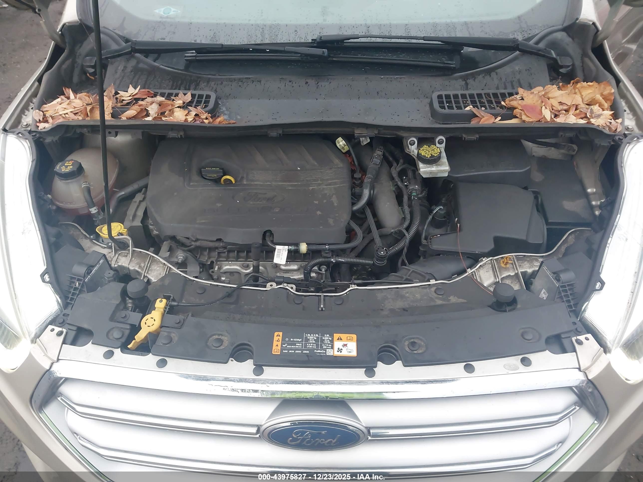 FORD ESCAPE image 10