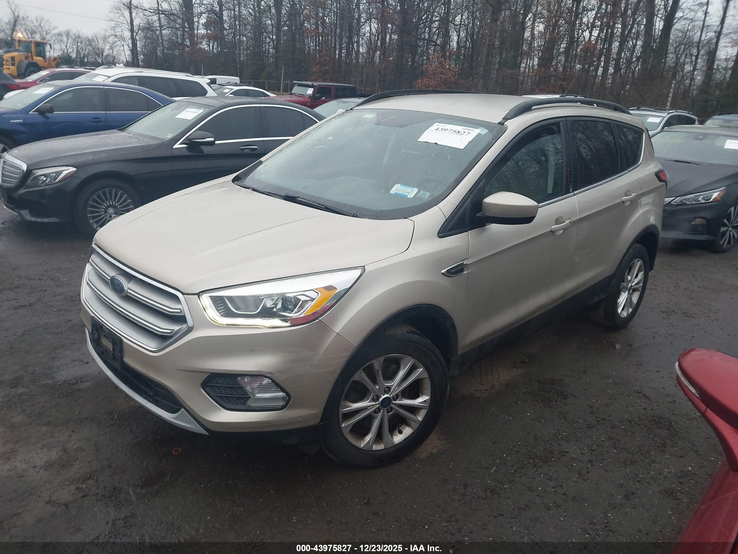 FORD ESCAPE image 2