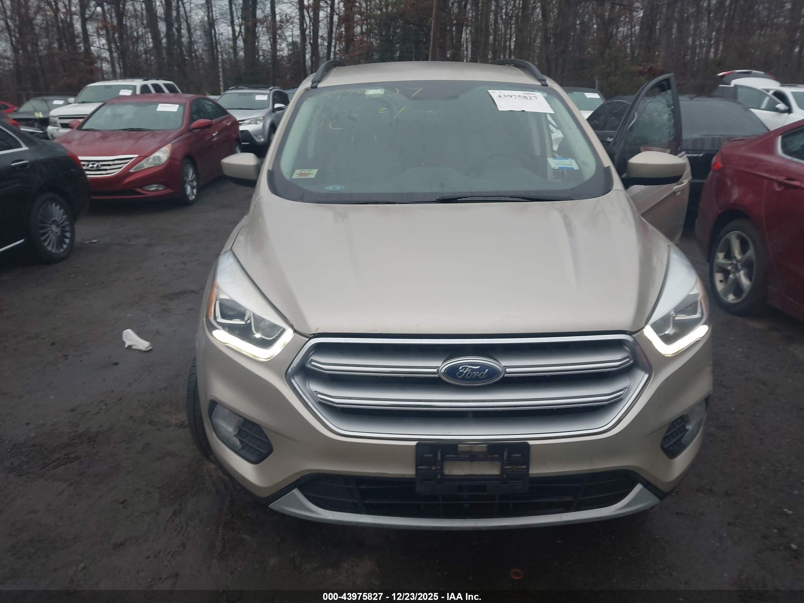 FORD ESCAPE image 6
