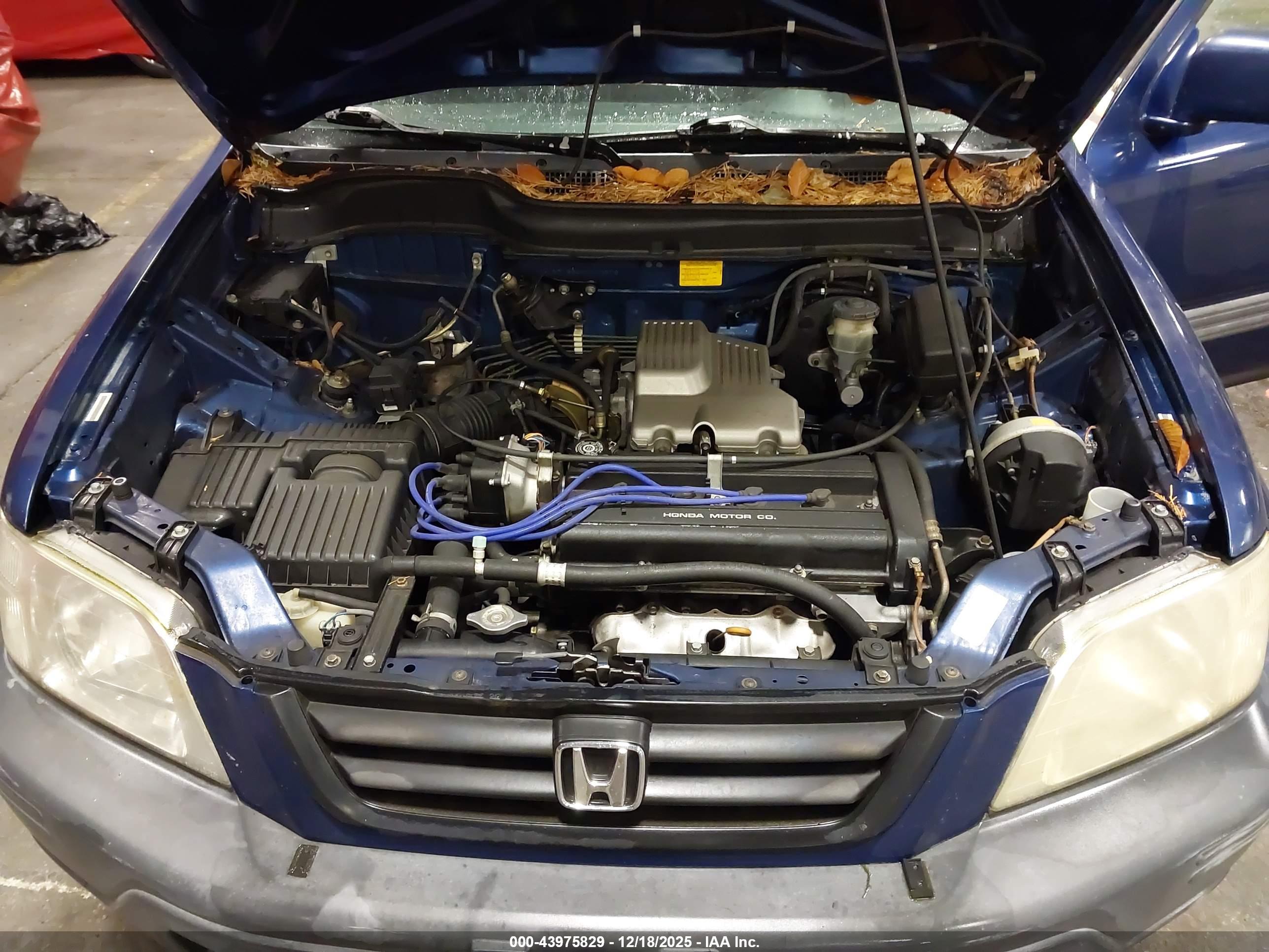 HONDA CR-V image 10