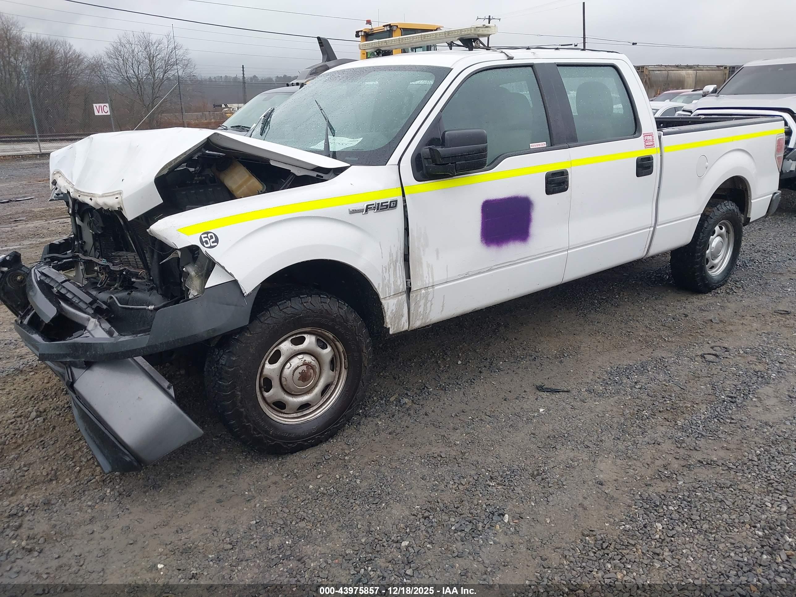 FORD F-150 image 2