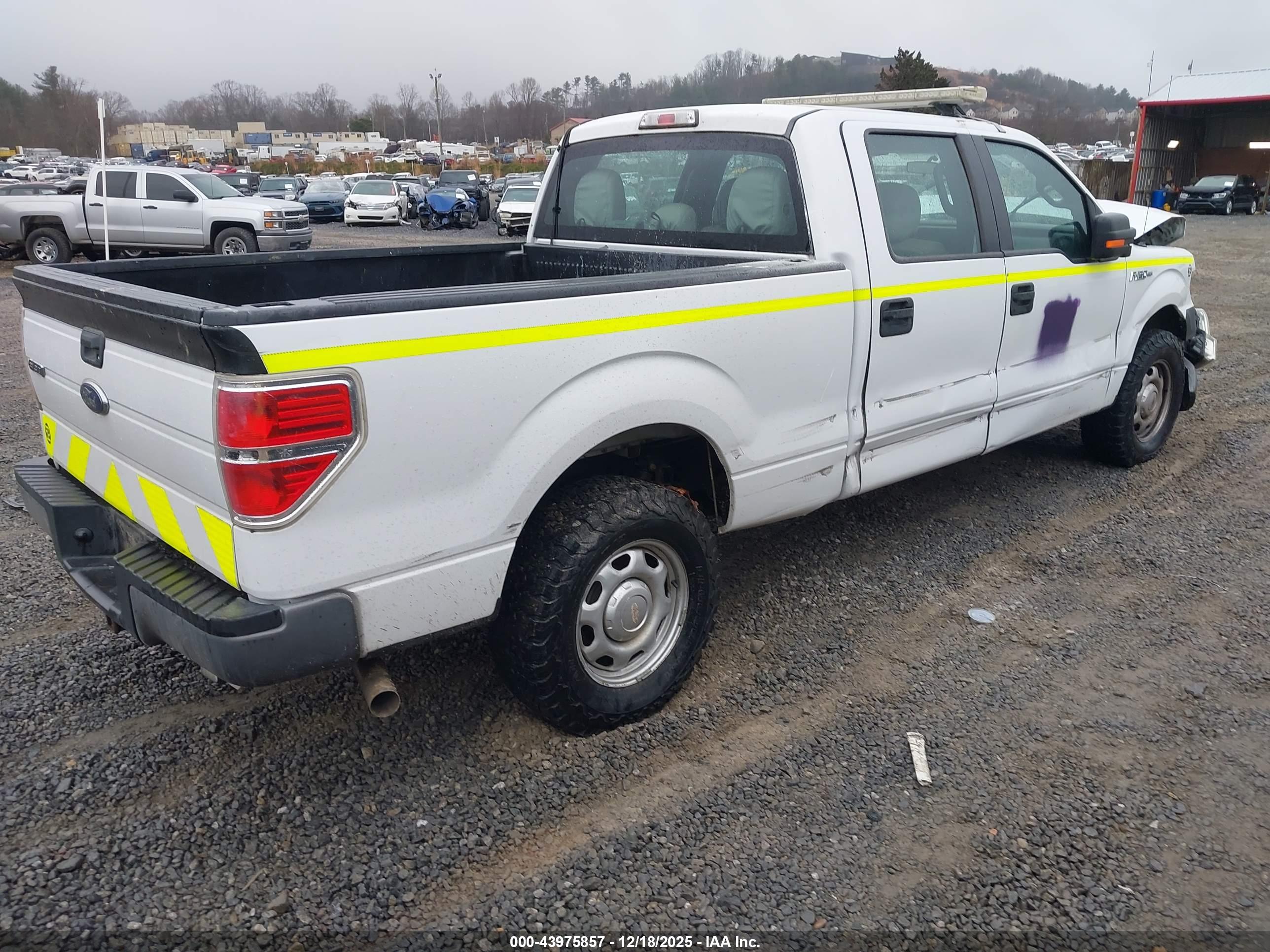 FORD F-150 image 4