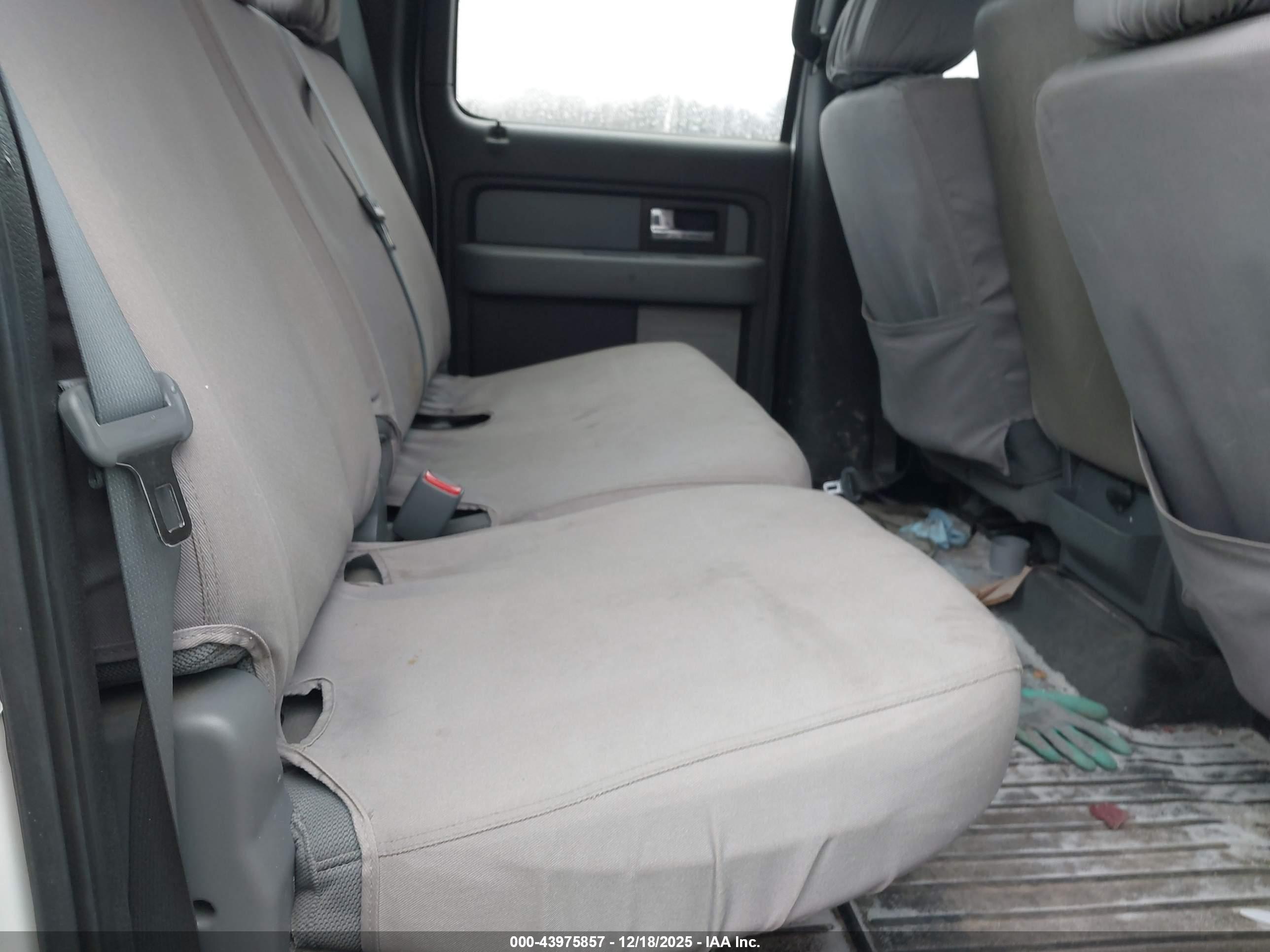 FORD F-150 image 8