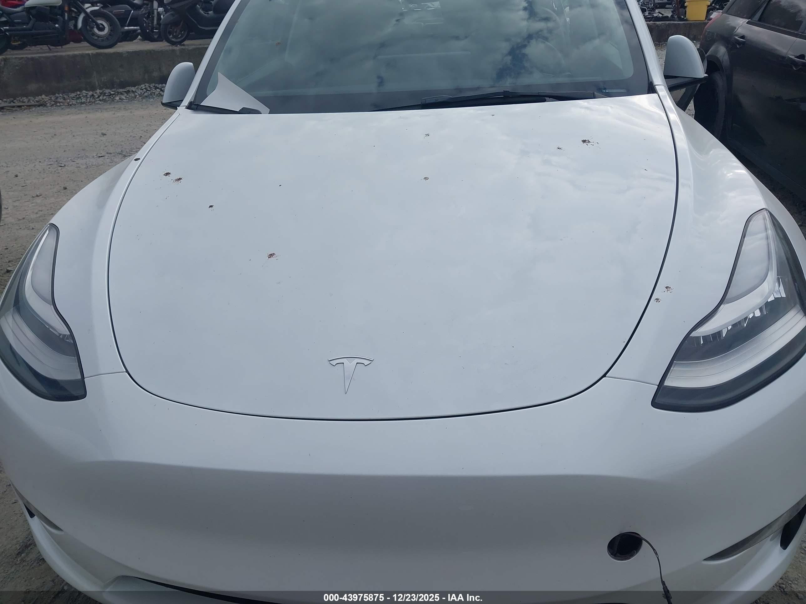 TESLA MODEL image 10