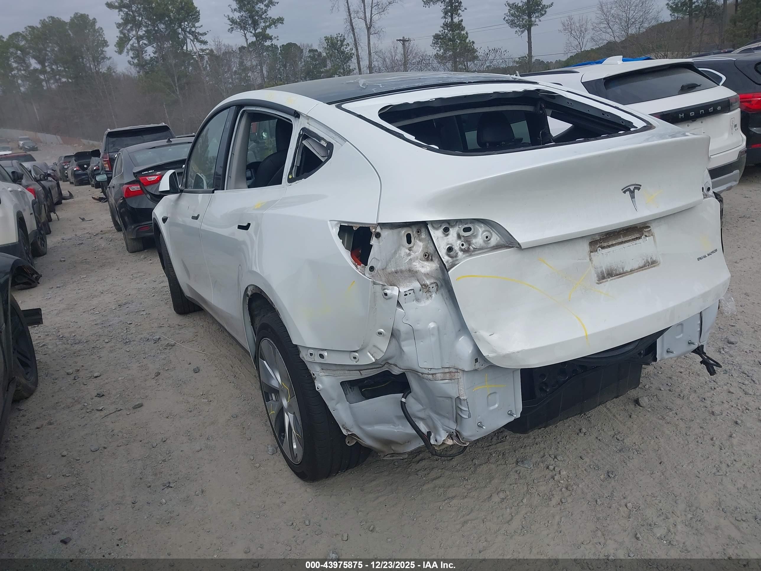 TESLA MODEL image 3