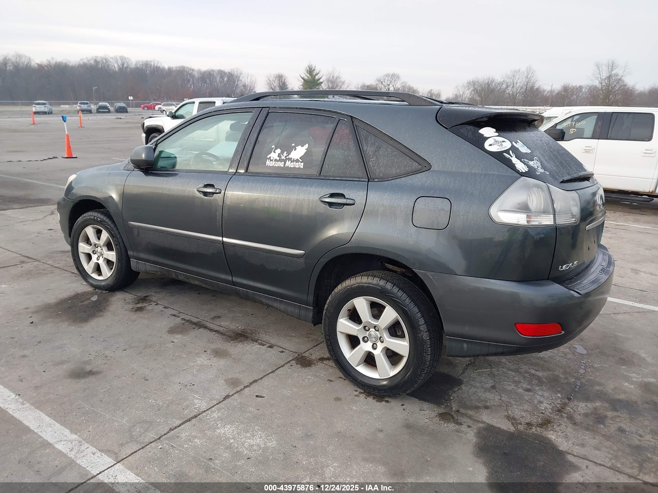 LEXUS RX image 3