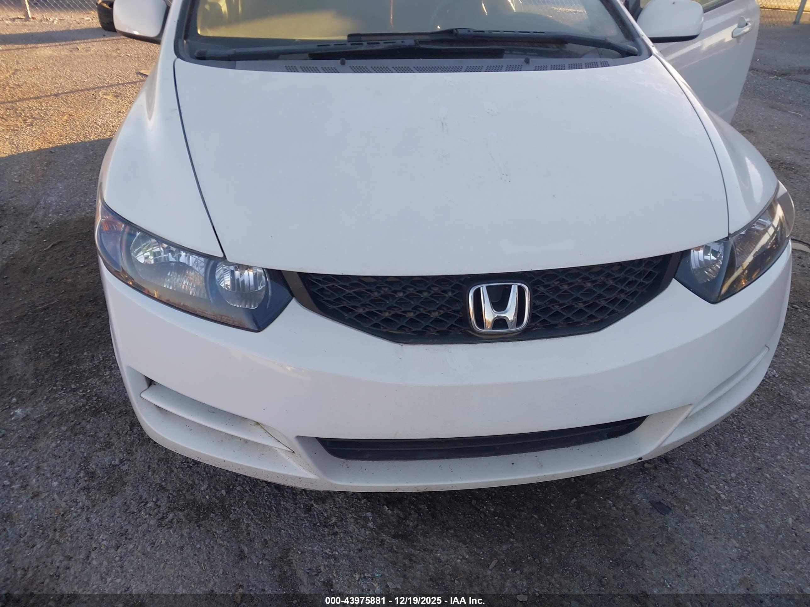 HONDA CIVIC image 6