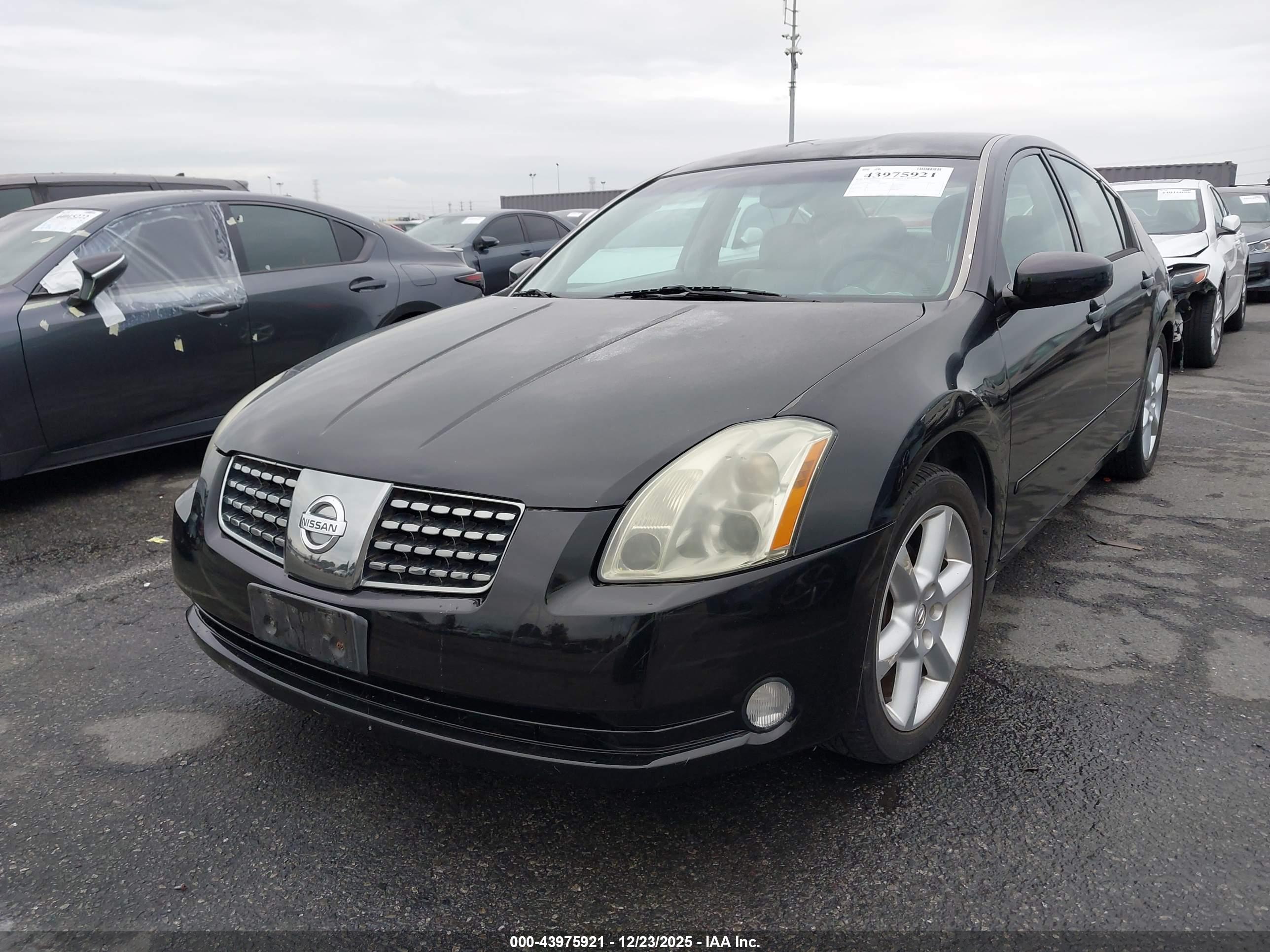 NISSAN MAXIMA image 2