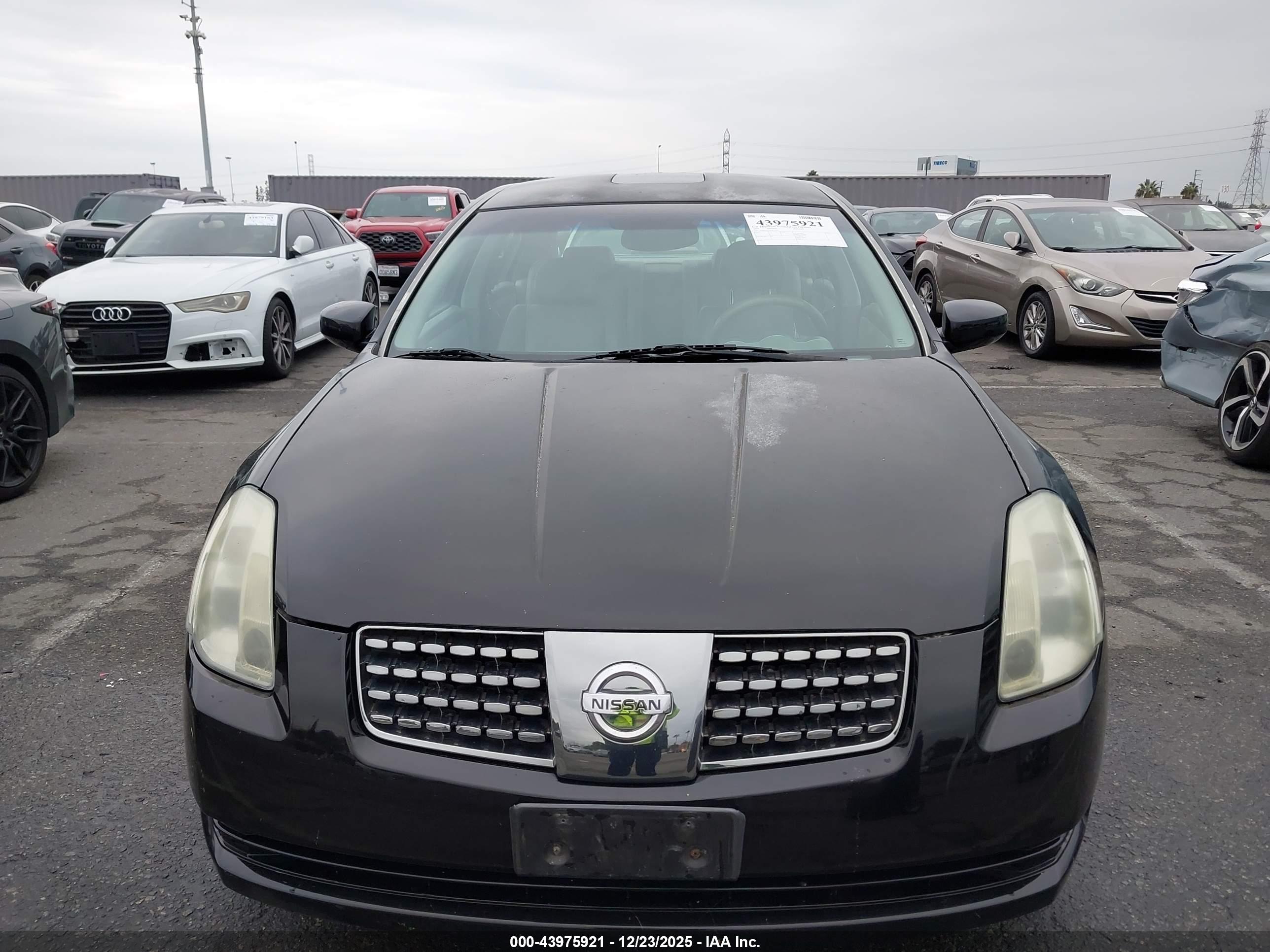 NISSAN MAXIMA image 6
