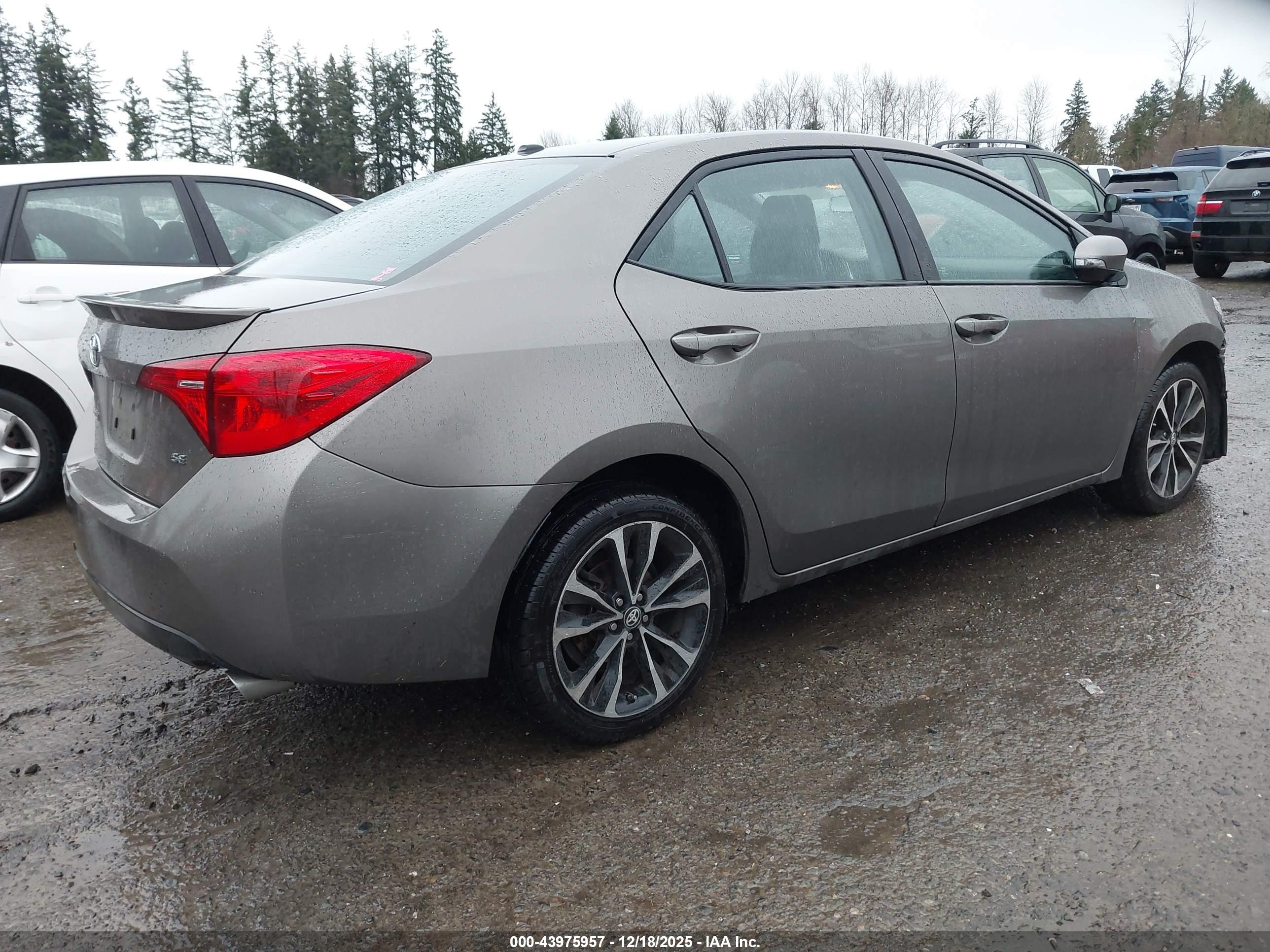 TOYOTA COROLLA image 4