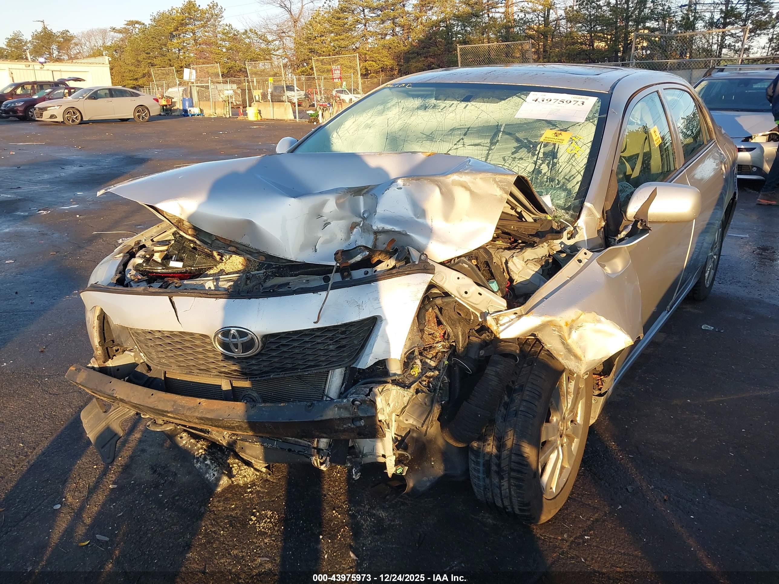 TOYOTA COROLLA image 6