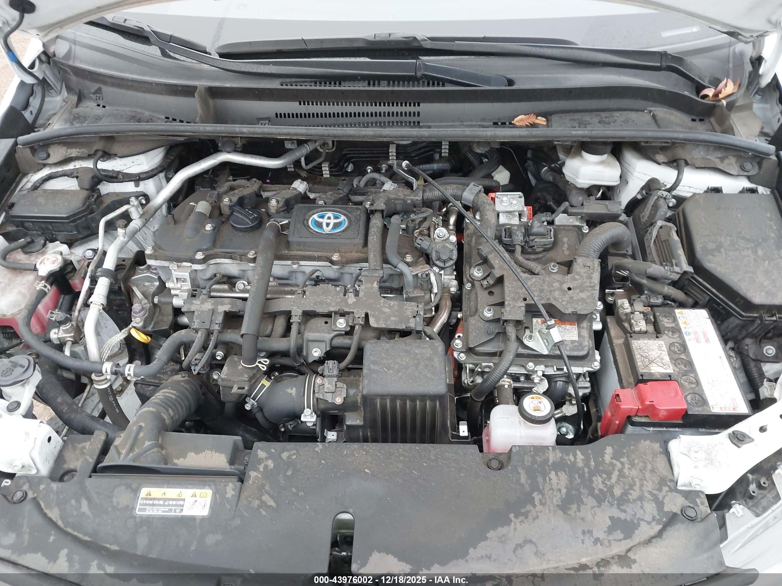 TOYOTA COROLLA image 10
