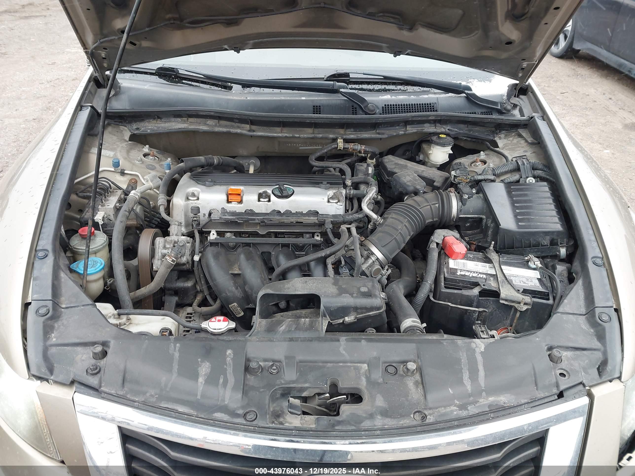 HONDA ACCORD image 10