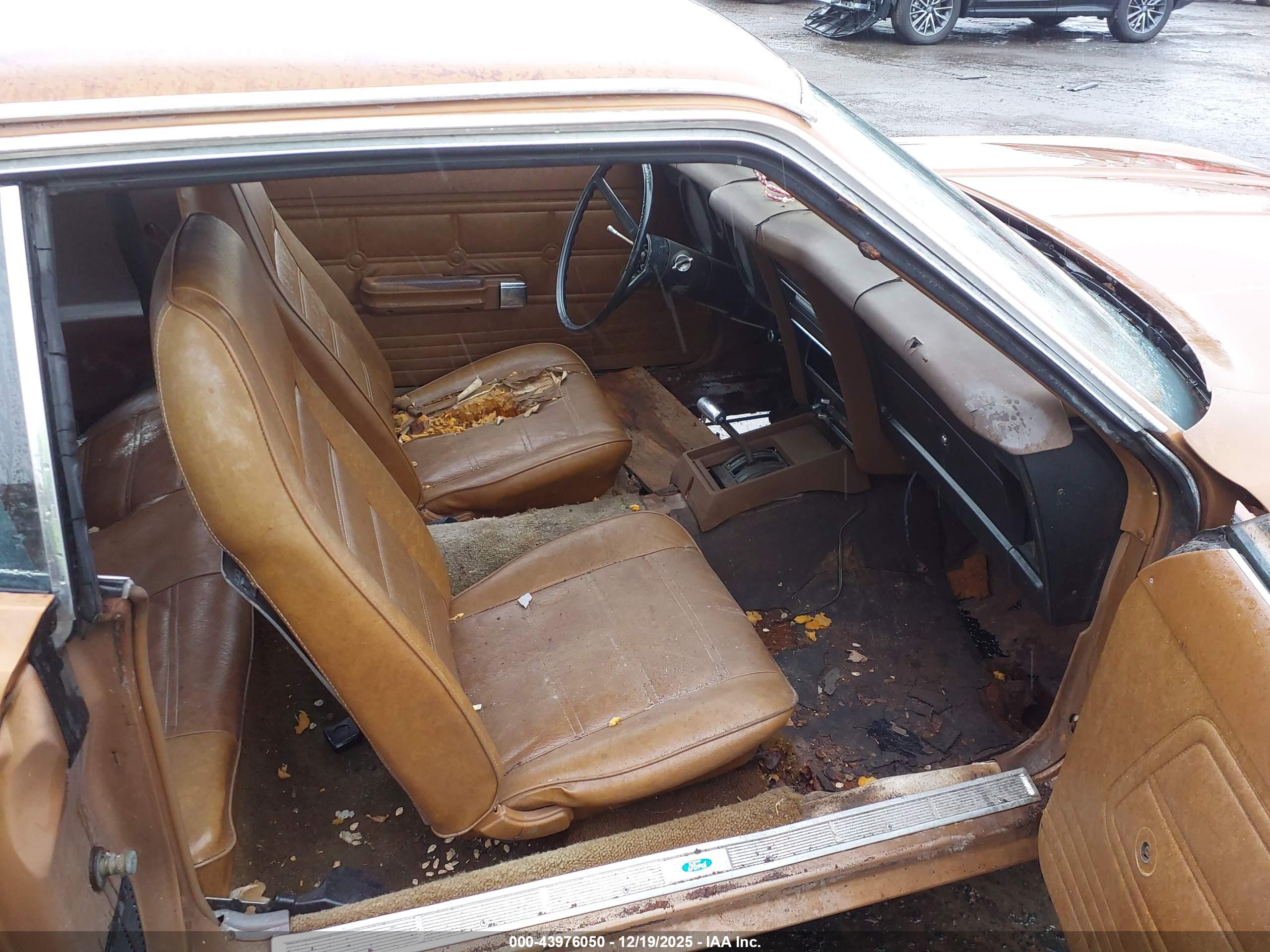 FORD MUSTANG image 5