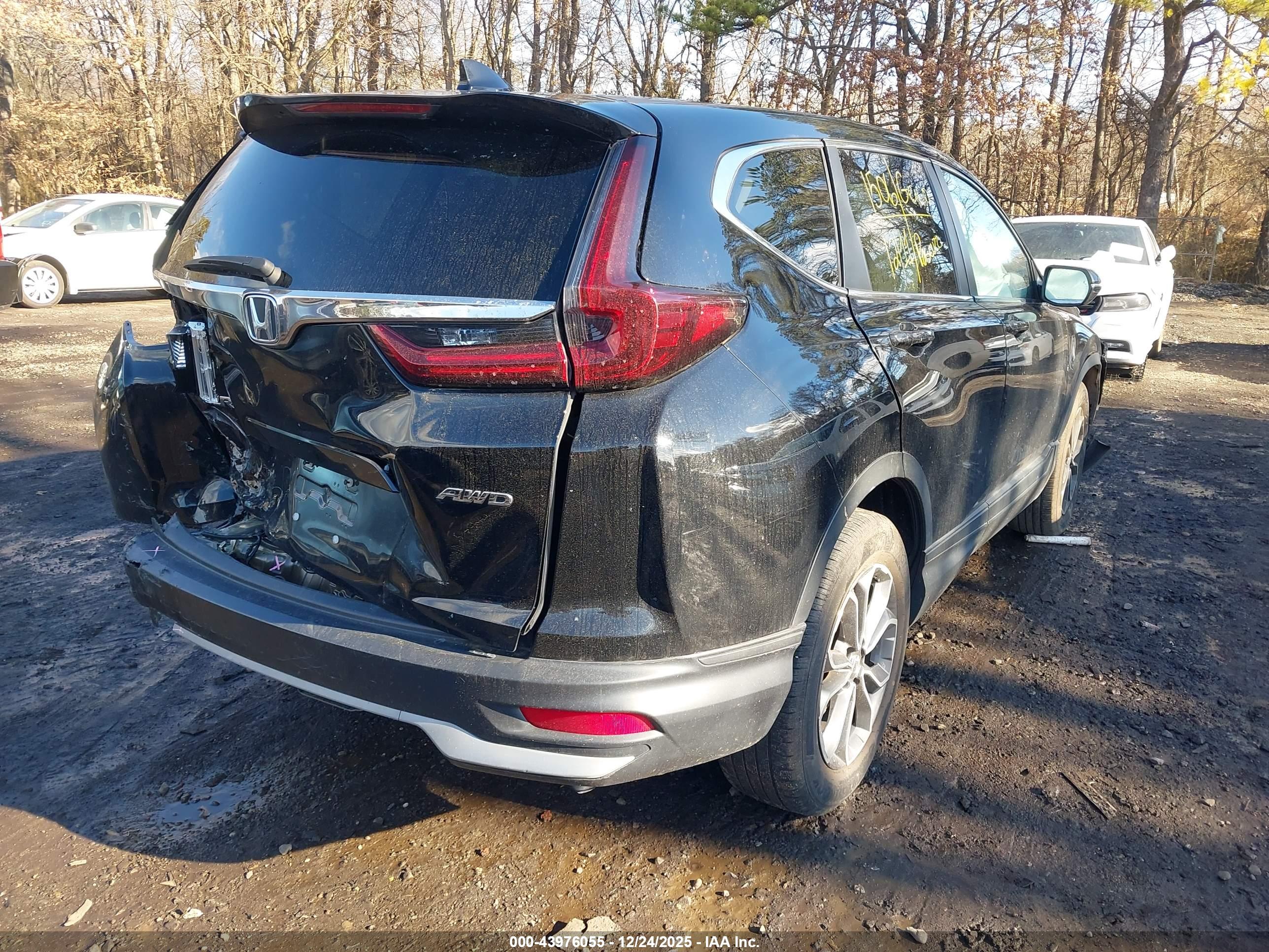 HONDA CR-V image 4