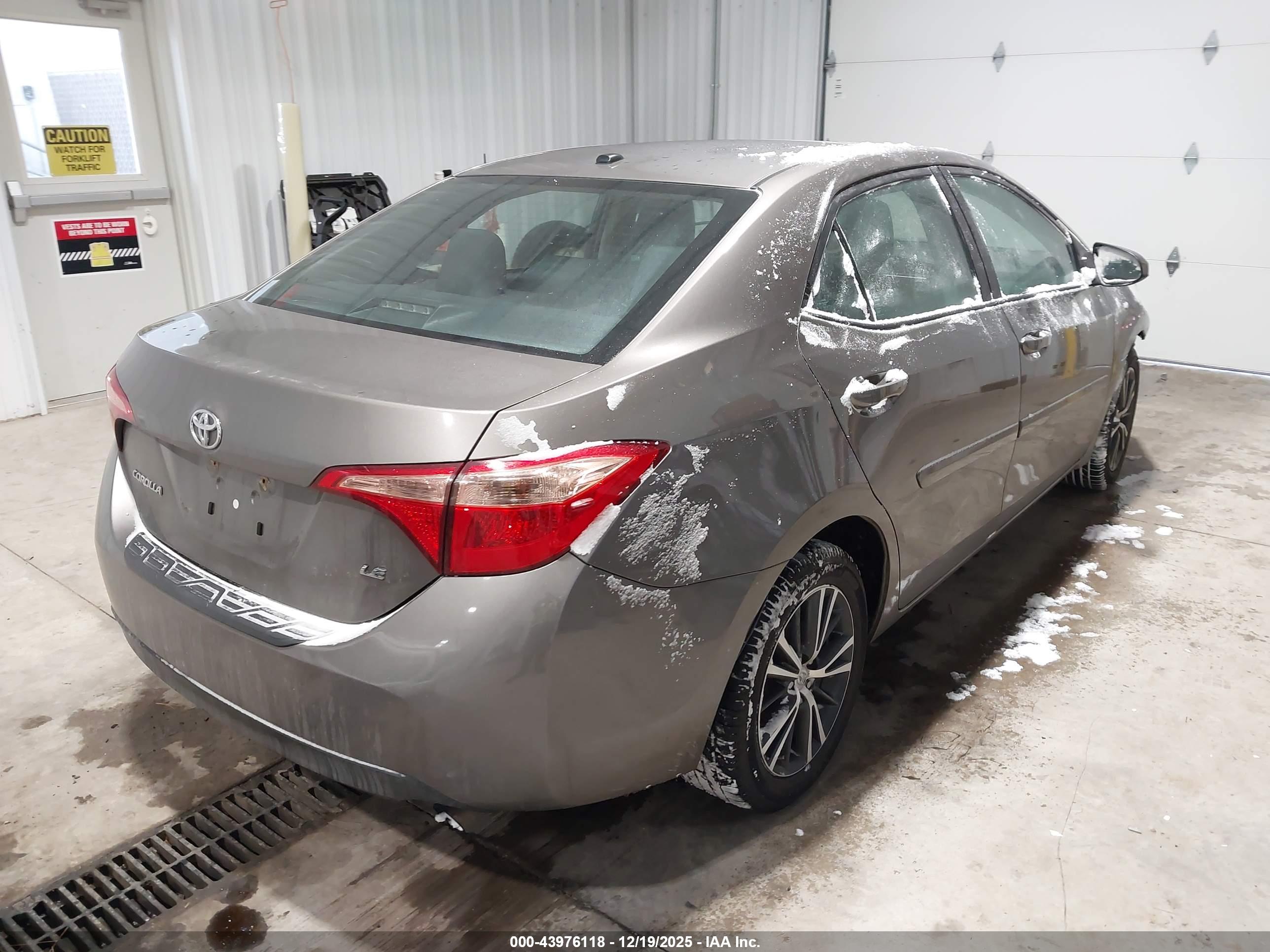TOYOTA COROLLA image 4