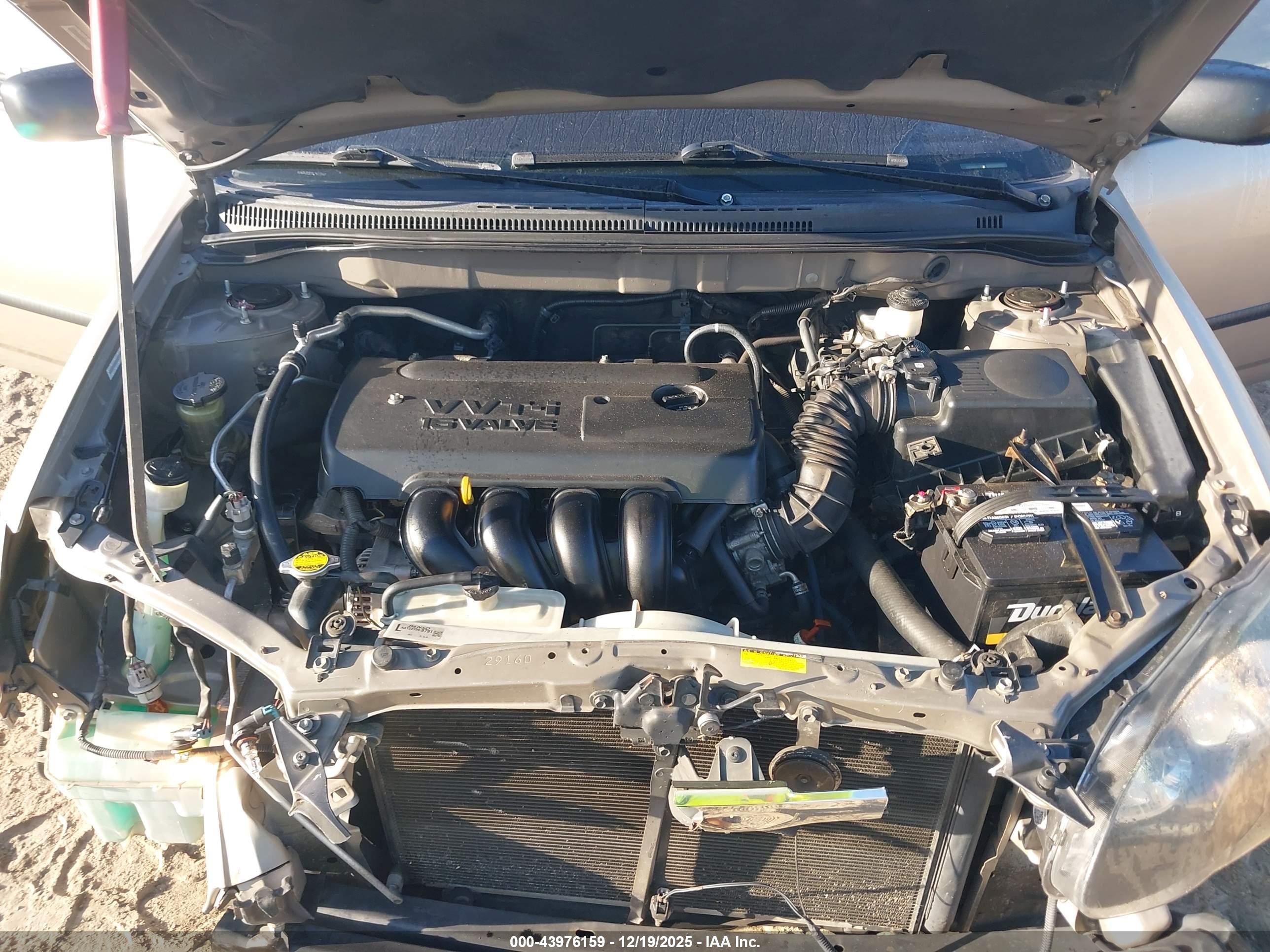 TOYOTA COROLLA image 10