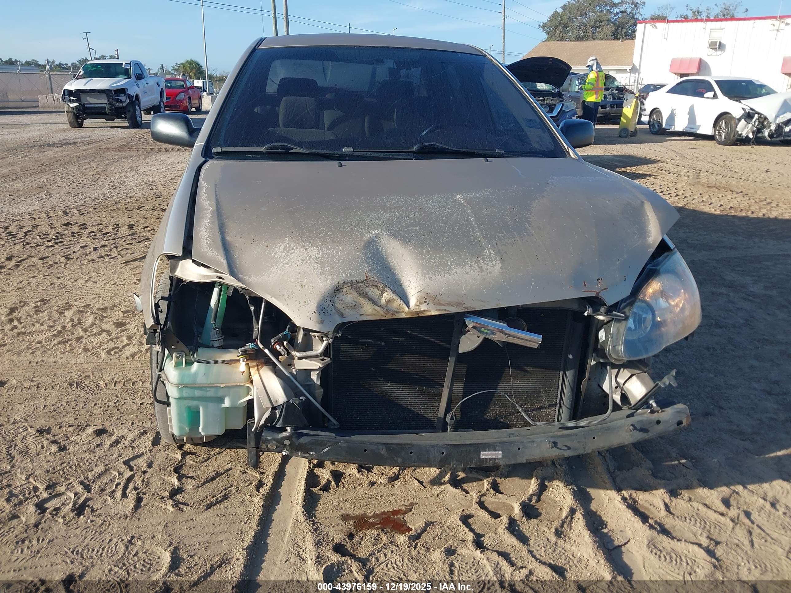 TOYOTA COROLLA image 6