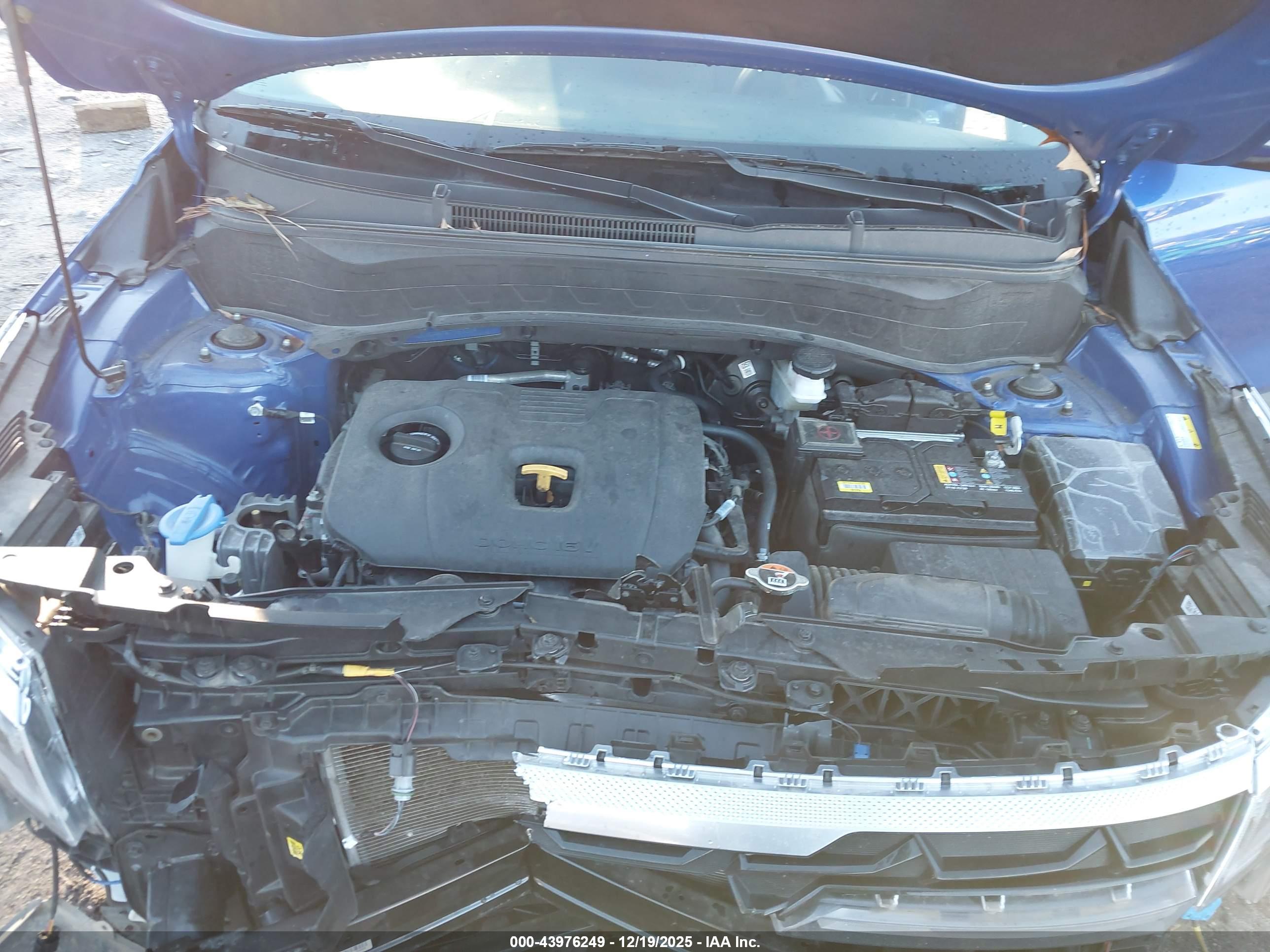 KIA SELTOS image 10