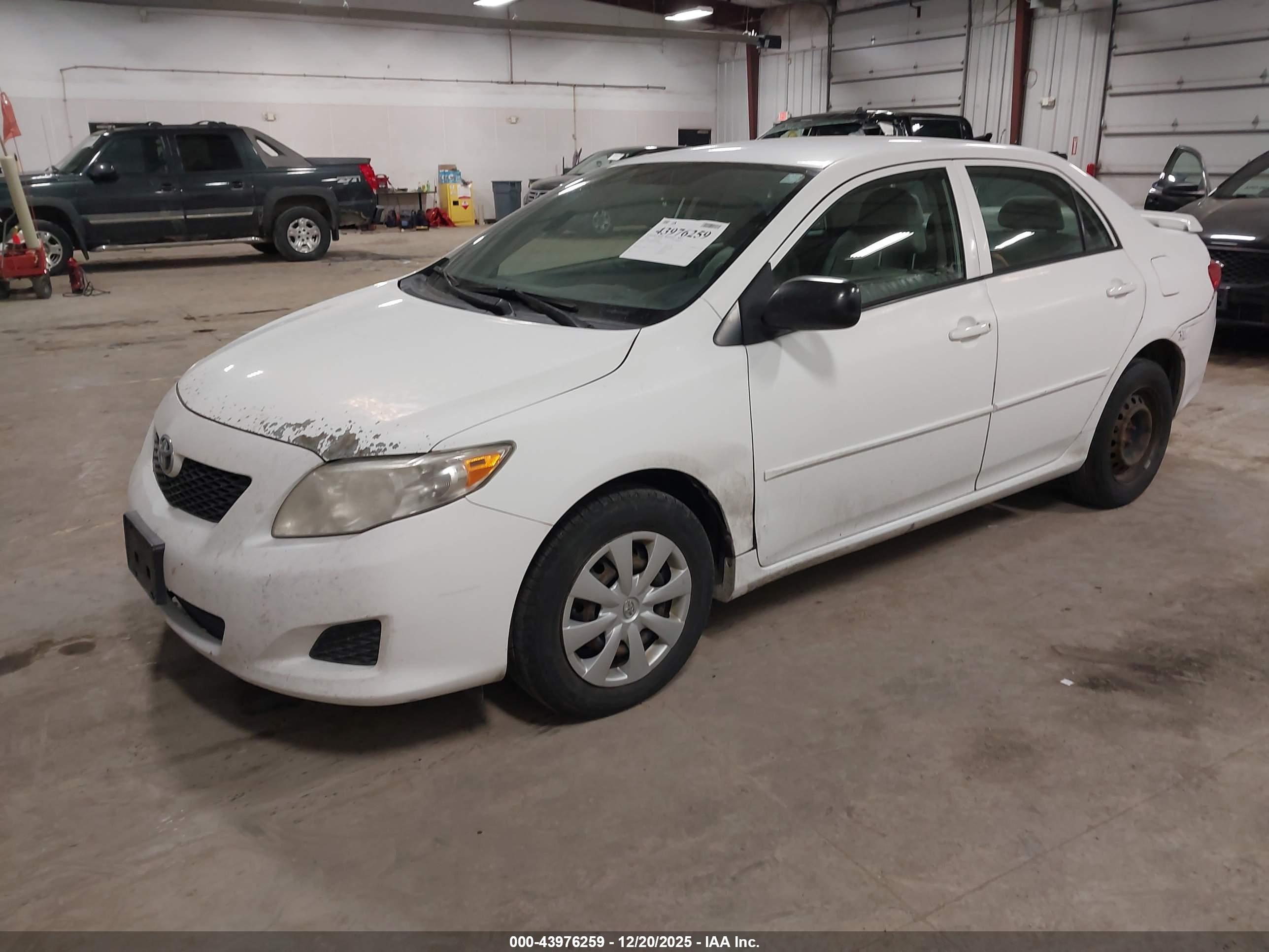 TOYOTA COROLLA image 2