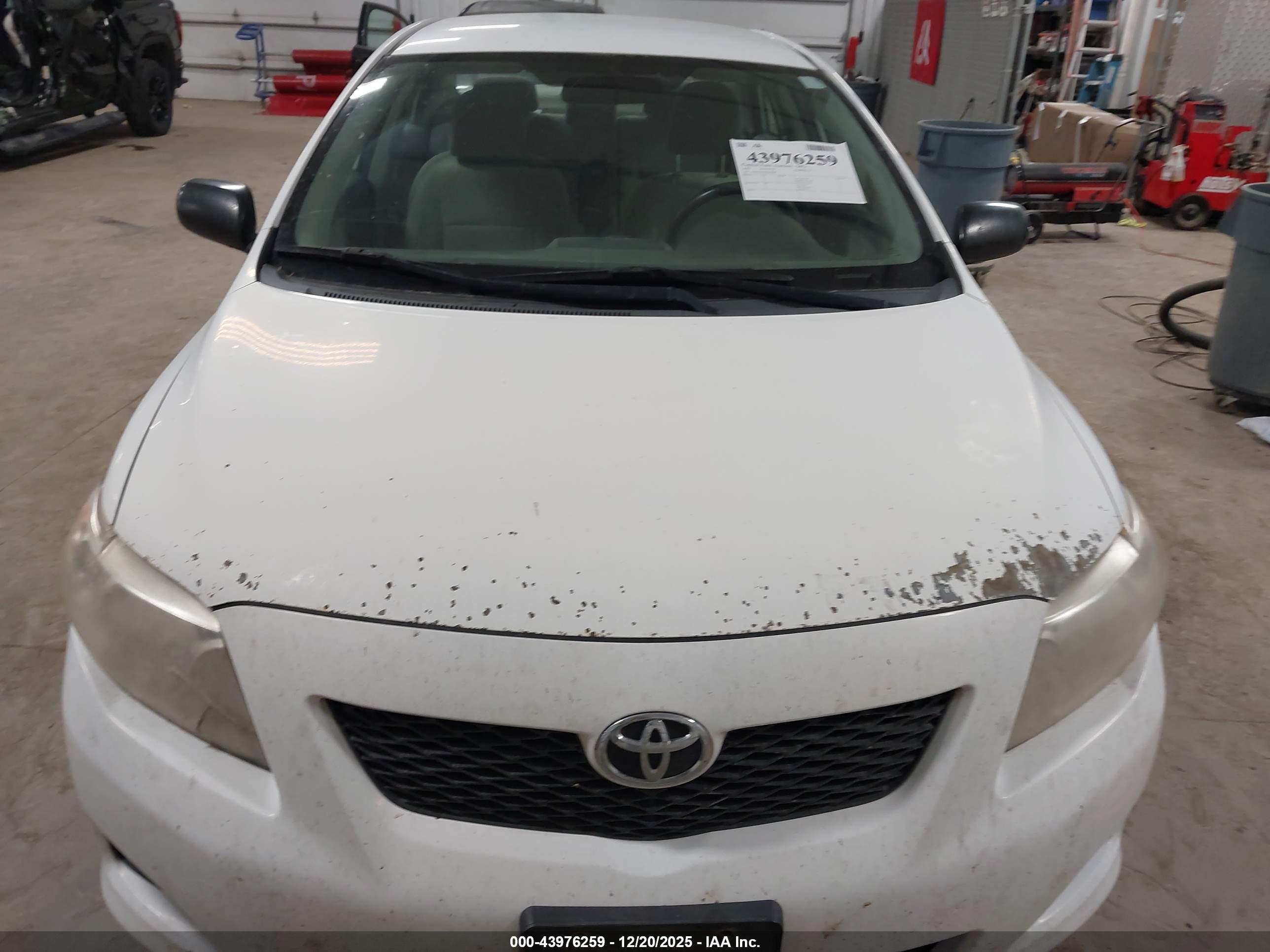 TOYOTA COROLLA image 6