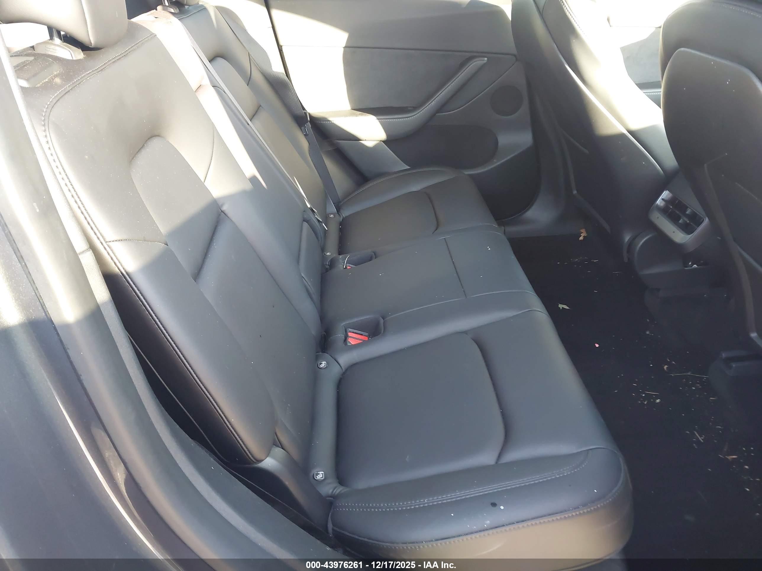 TESLA MODEL image 8