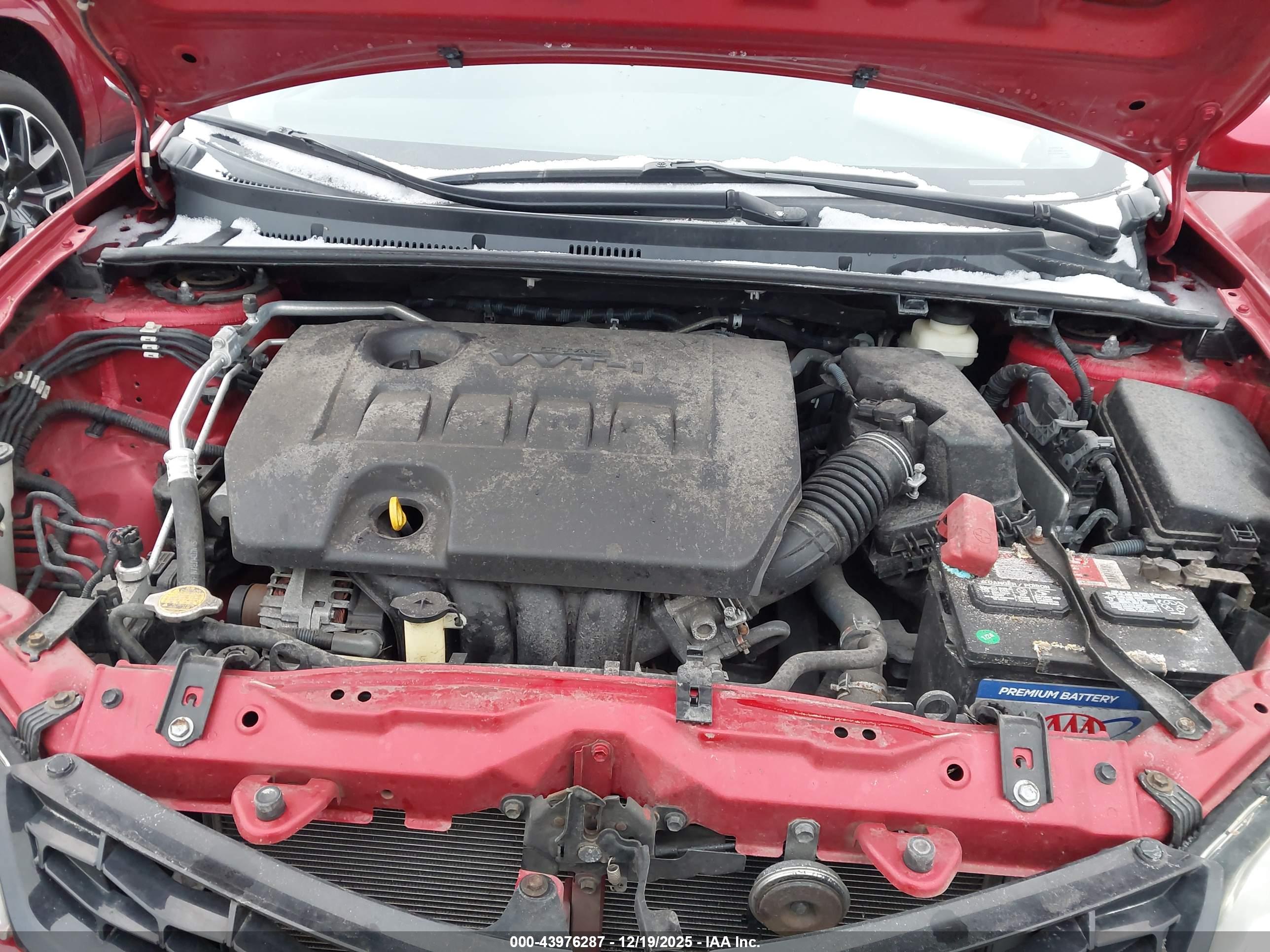 TOYOTA COROLLA image 10