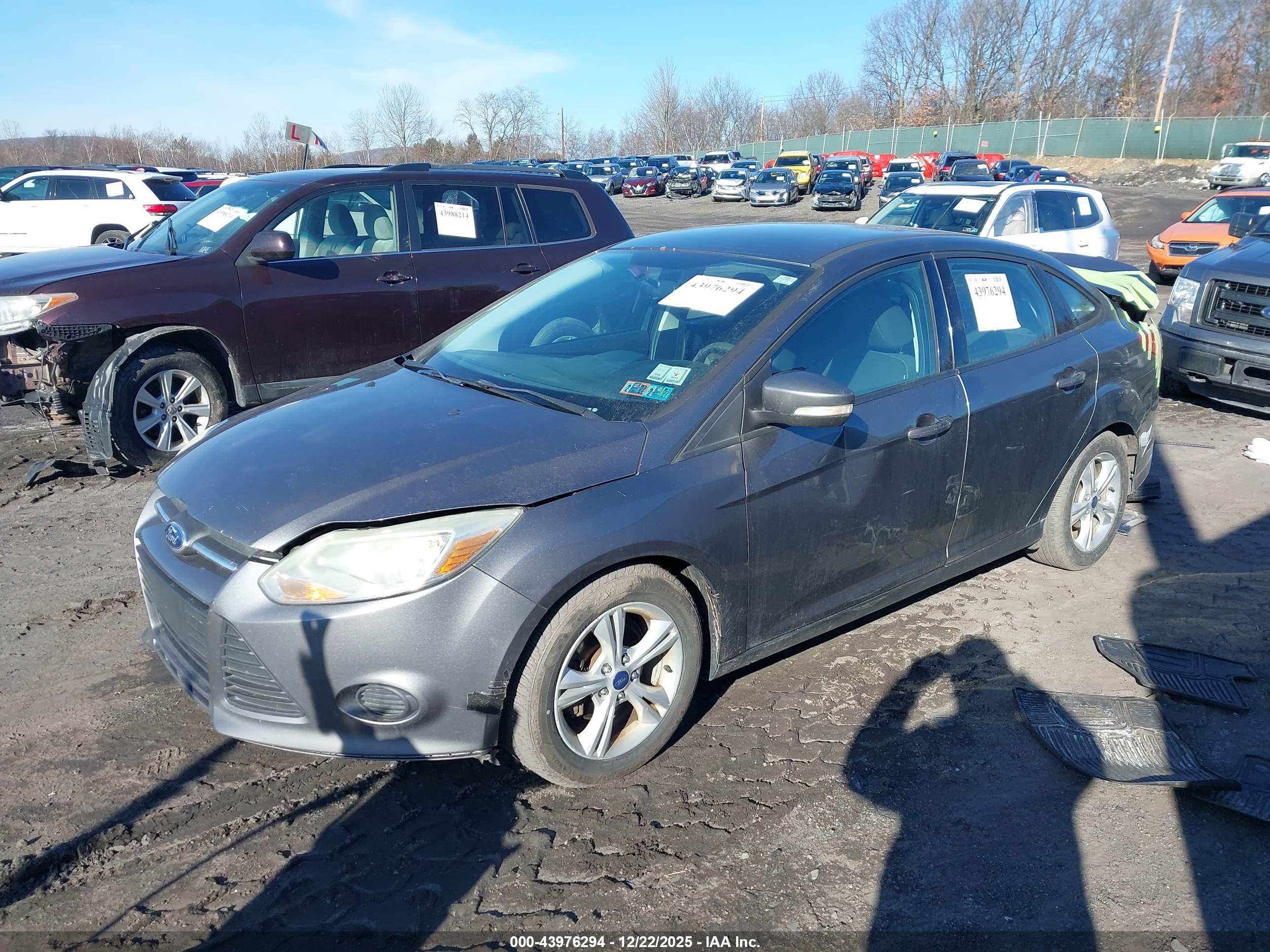 FORD FOCUS image 2