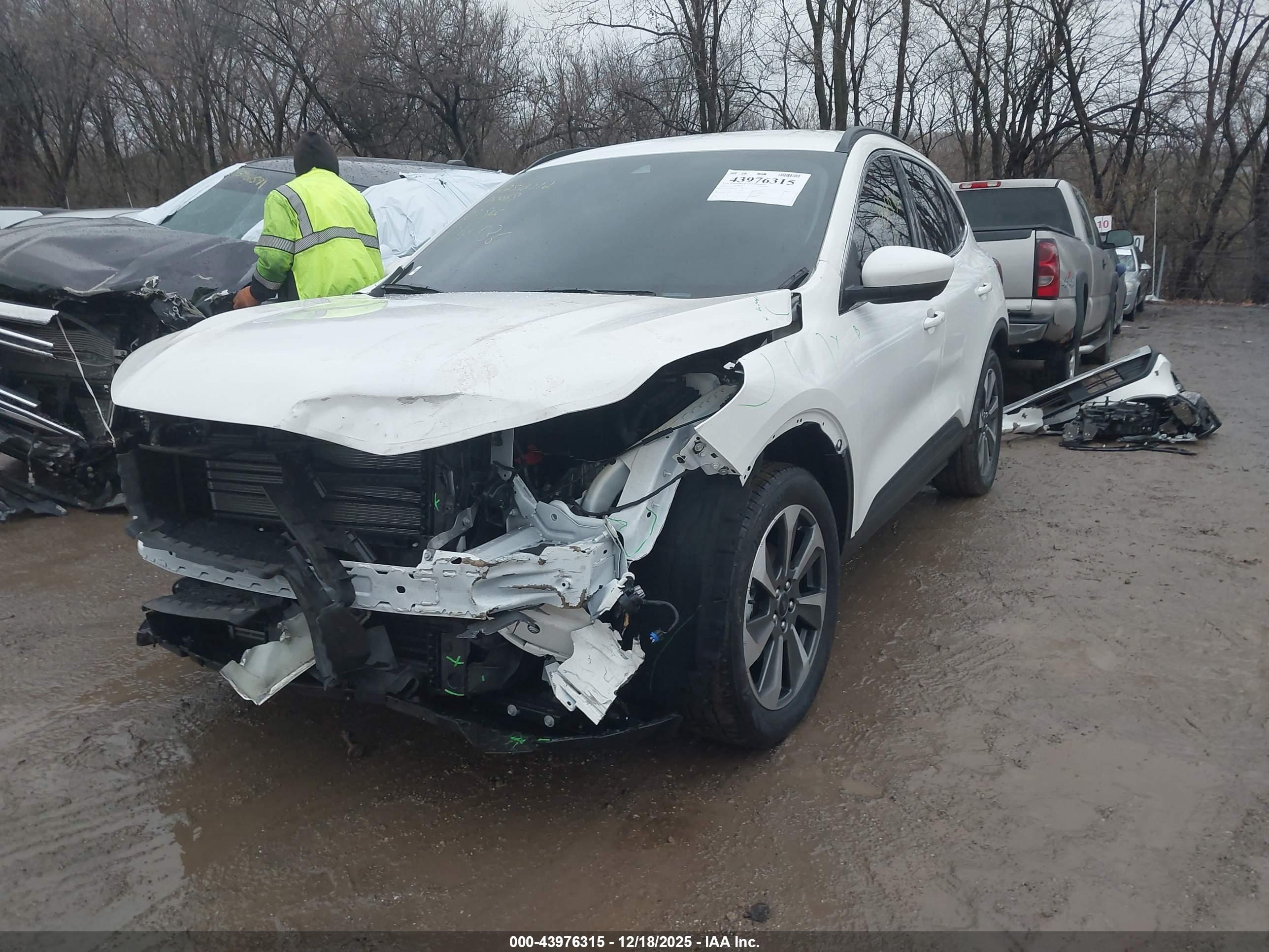 FORD ESCAPE image 2