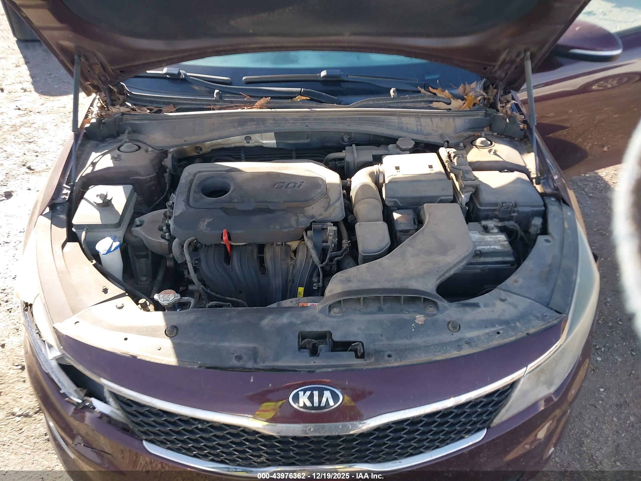 KIA OPTIMA image 10